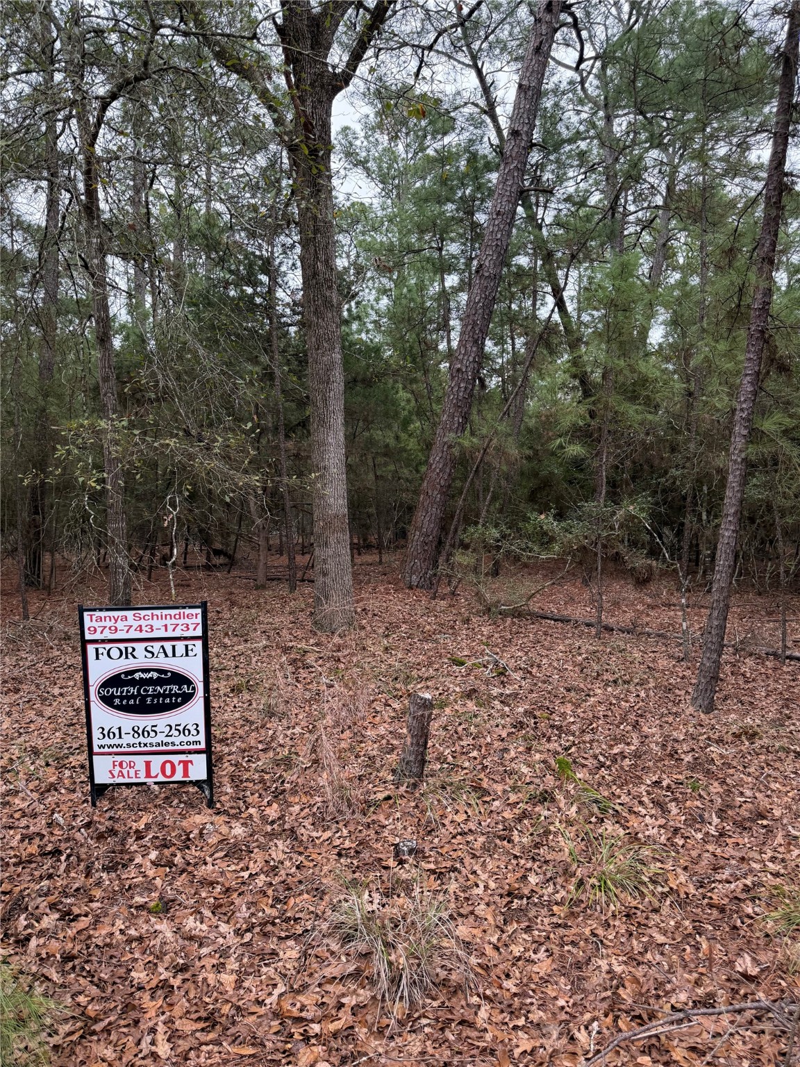 000 Red Fox Road Property Photo 6