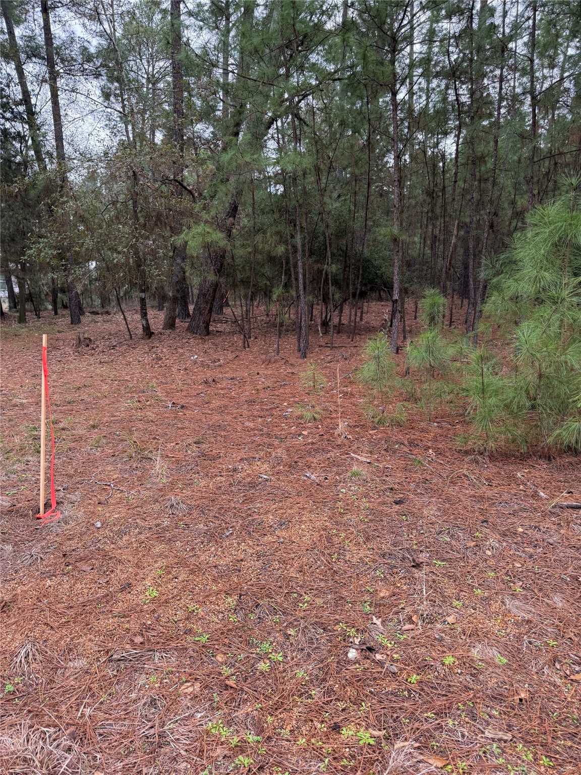 000 Red Fox Road Property Photo 8