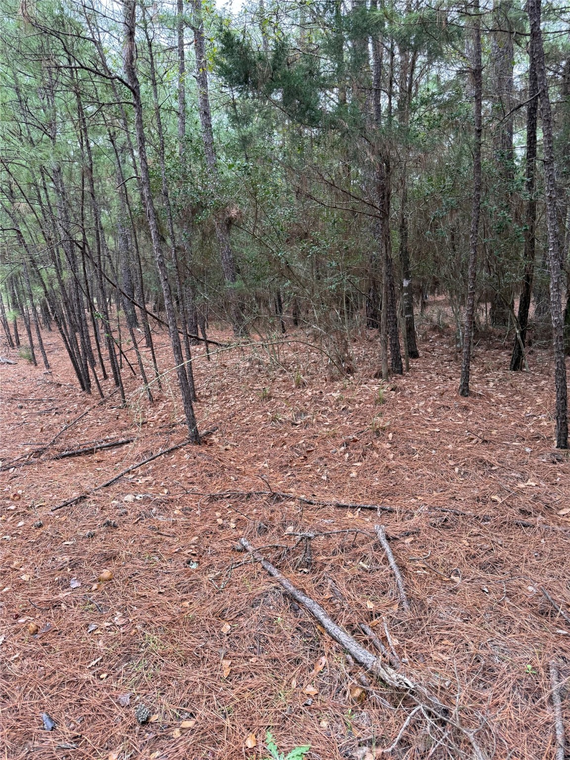 000 Red Fox Road Property Photo 11