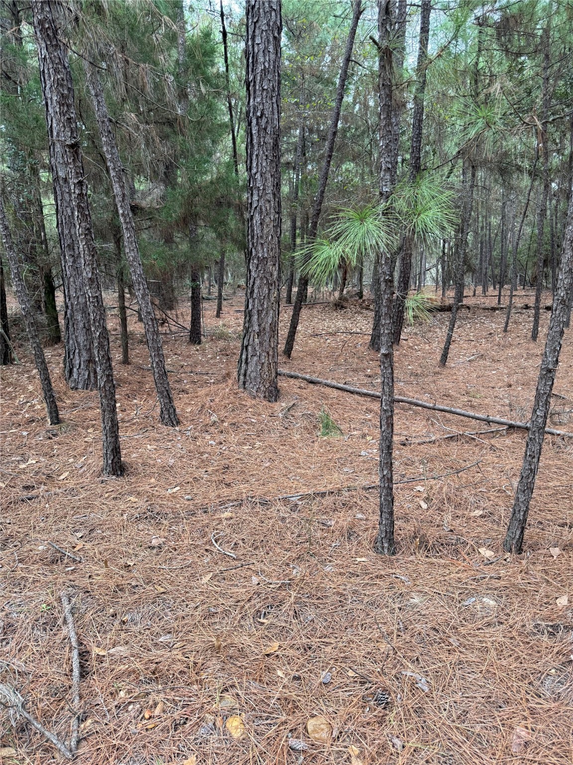 000 Red Fox Road Property Photo 12