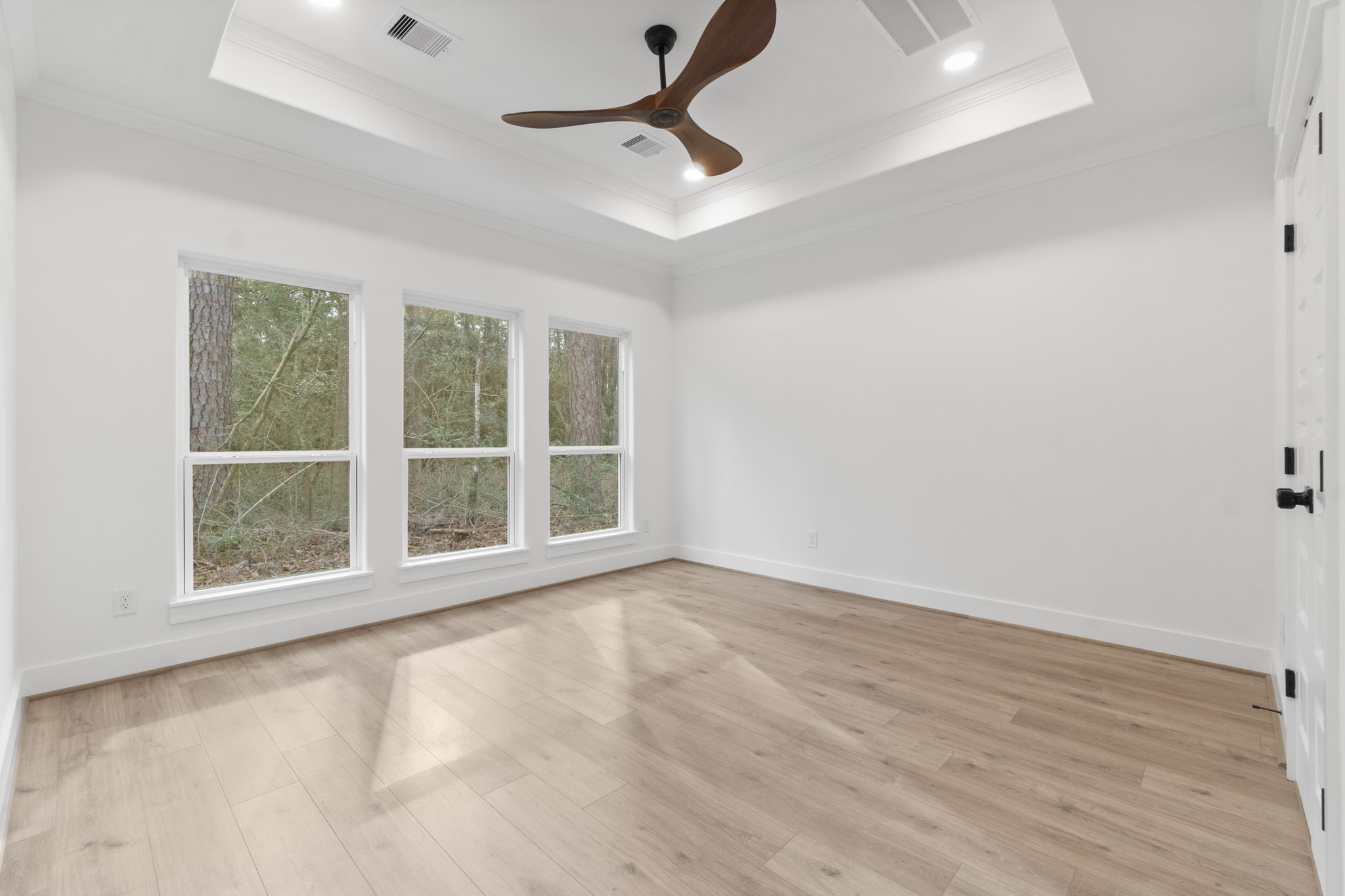 241 Clear Springs Property Photo 19