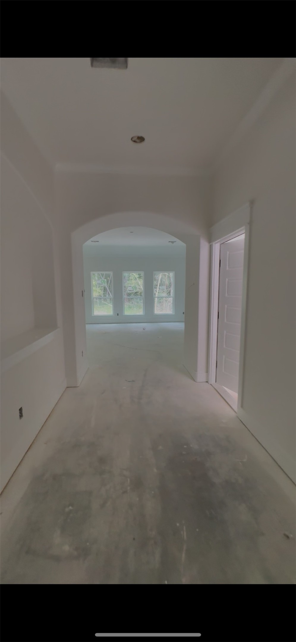 241 Clear Springs Property Photo 46