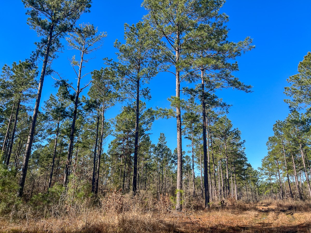 4 Highway 287 Property Photo 12