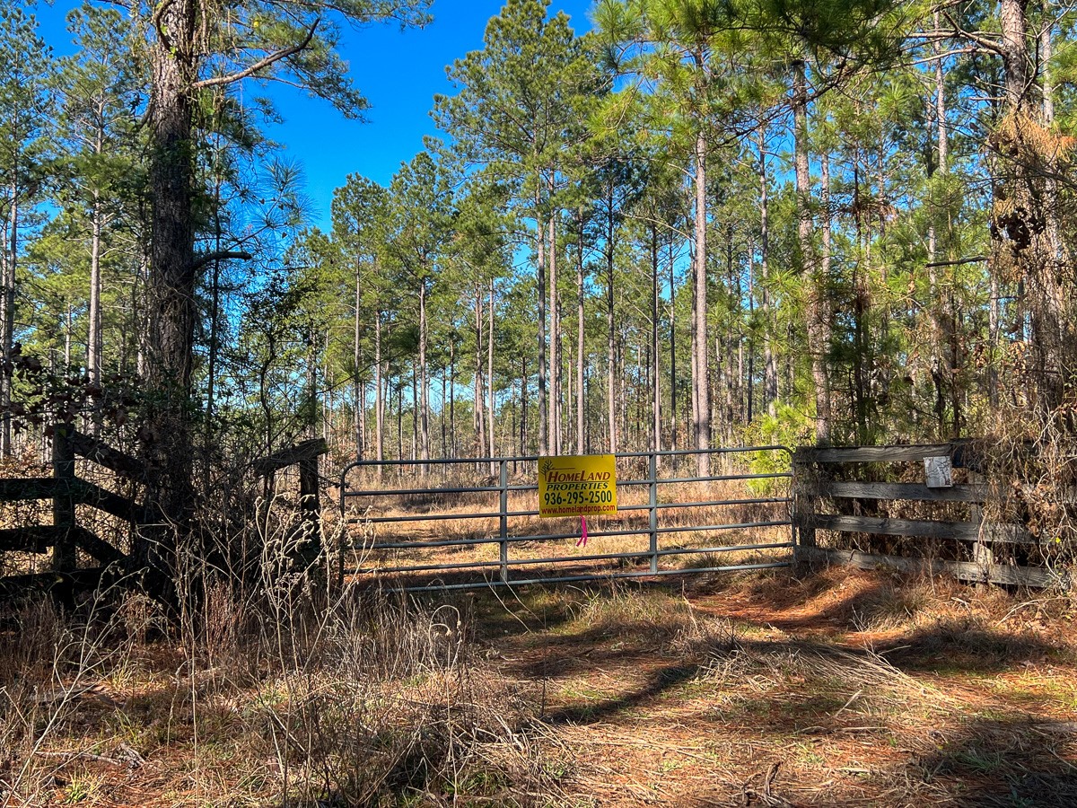 4 Highway 287 Property Photo 14