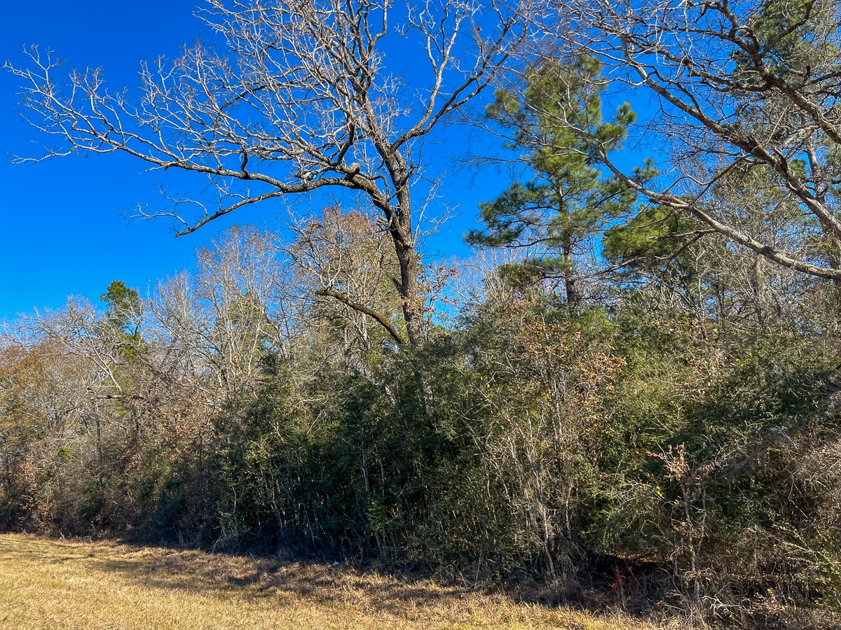 4 Highway 287 Property Photo 15