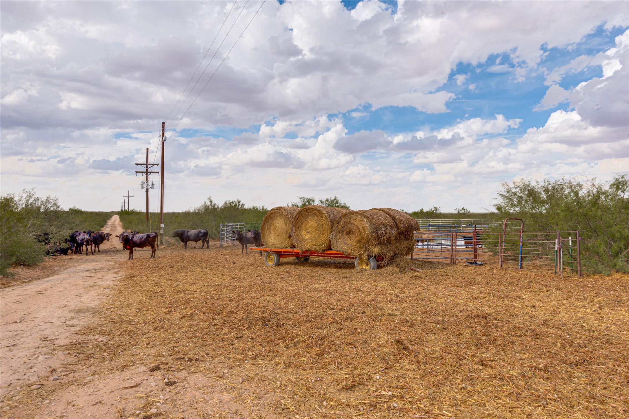 Tbd 538ac Fm 1379 Property Photo 8