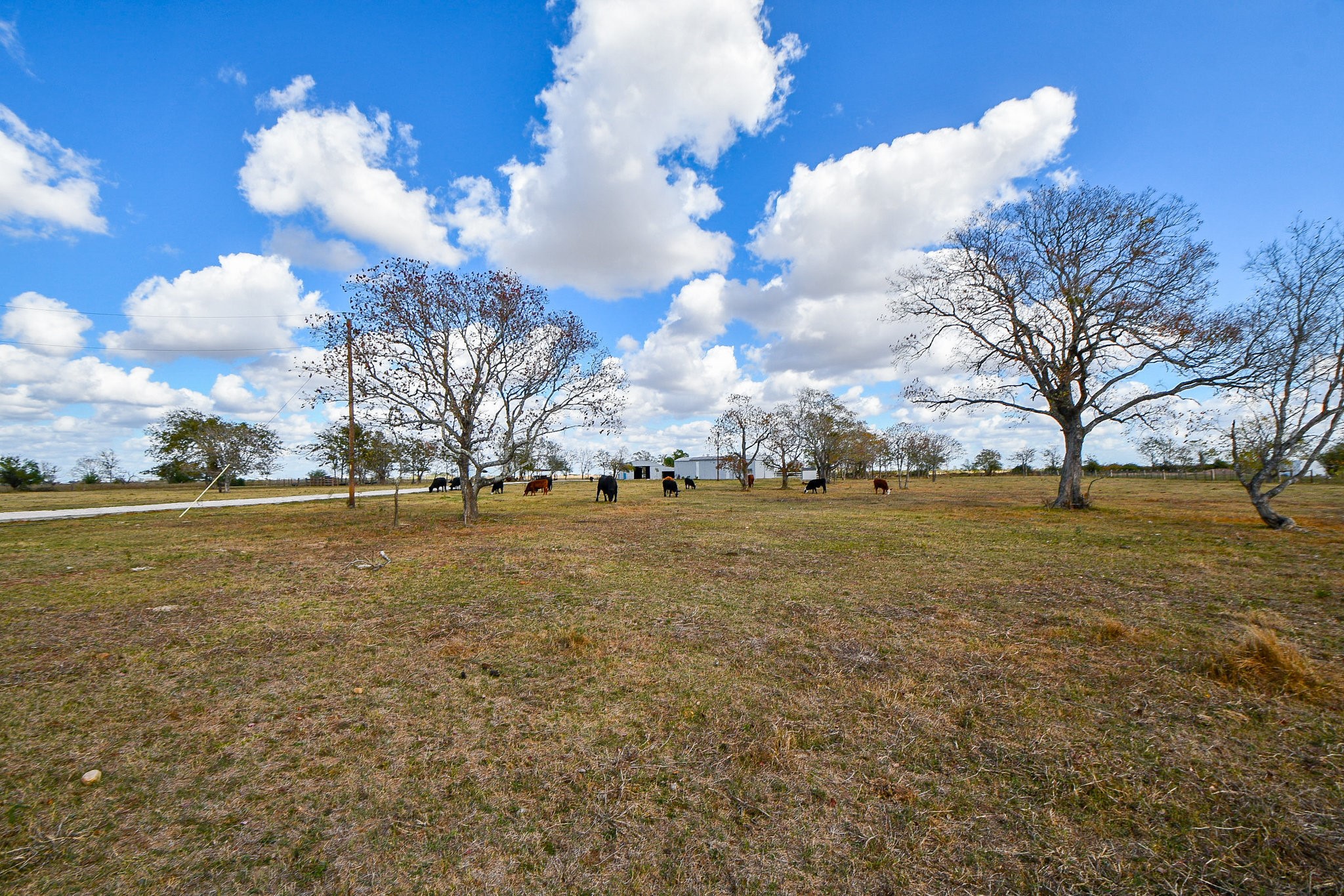 1093 Sunderman Road Property Photo 48
