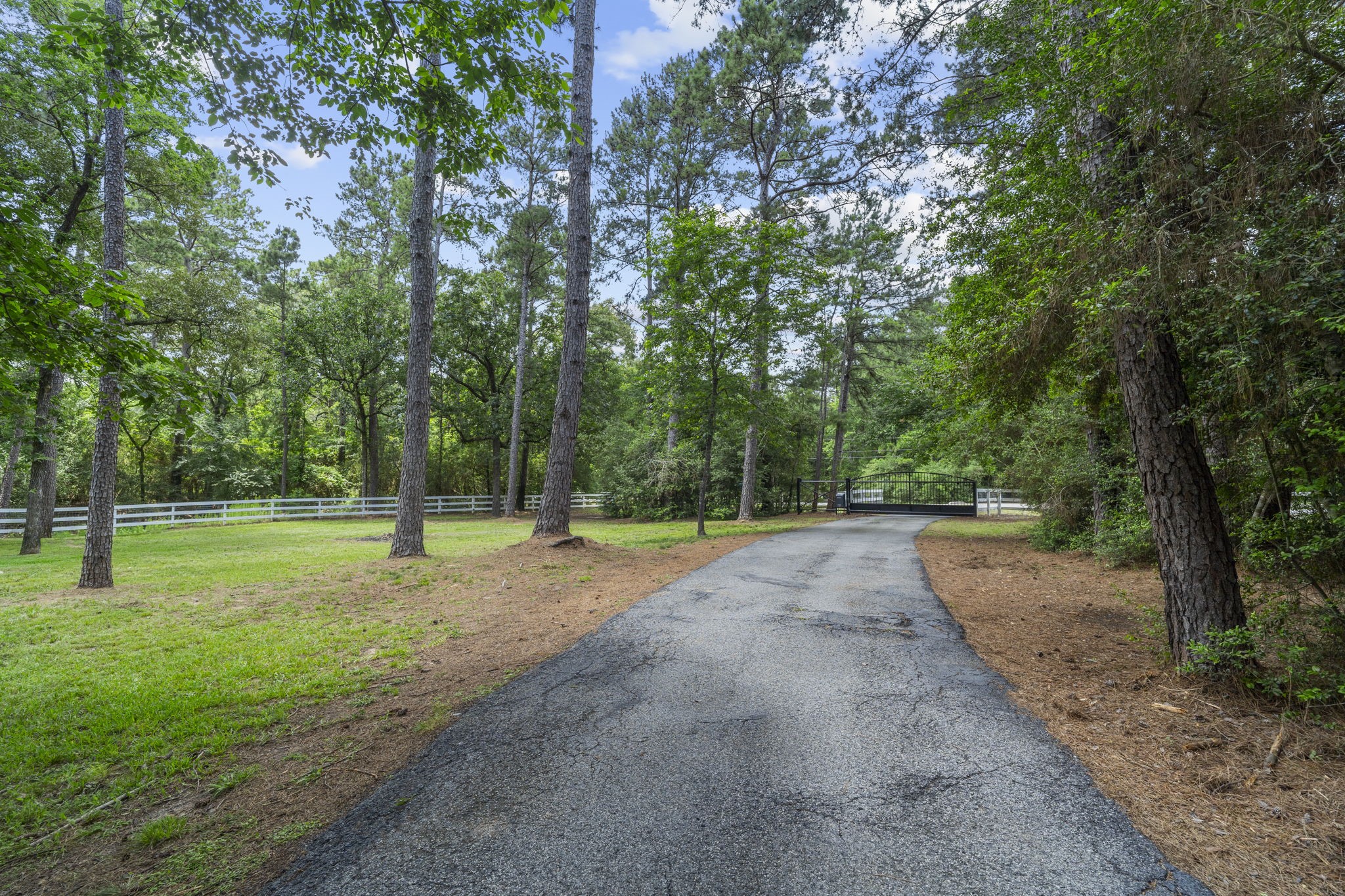 19610 Timber Ridge Drive Property Photo 3