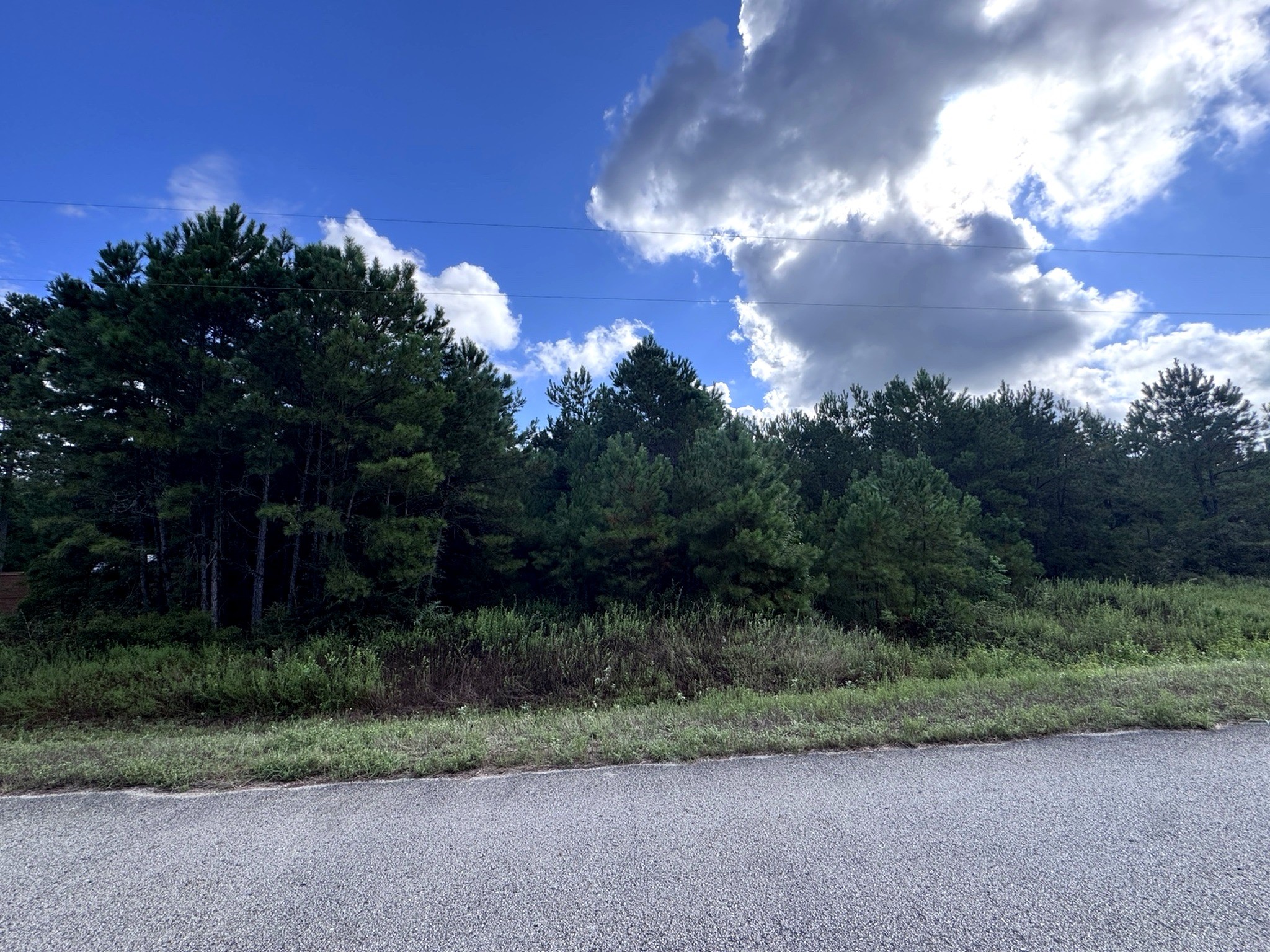 4546 N Duck Creek Road Property Photo 2