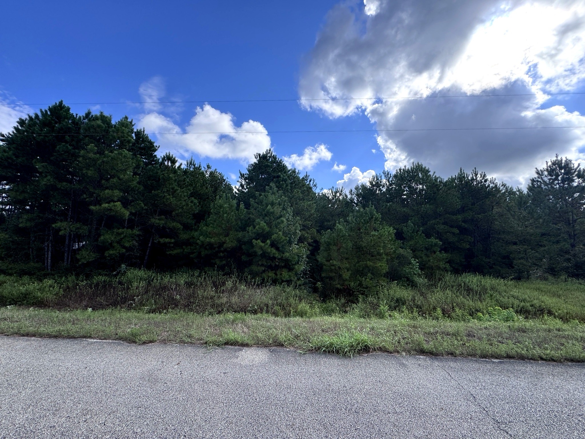4546 N Duck Creek Road Property Photo 3