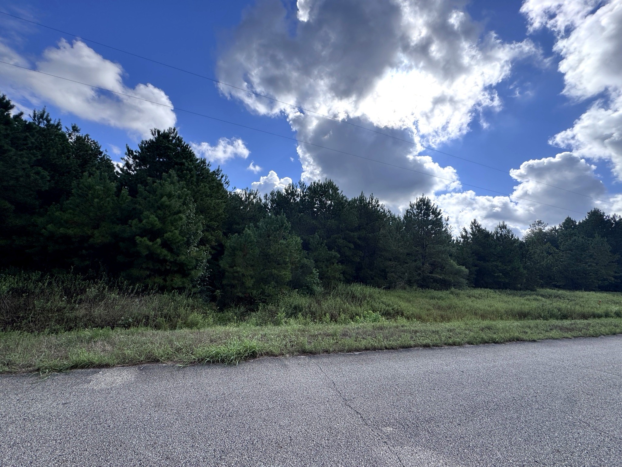 4546 N Duck Creek Road Property Photo 4