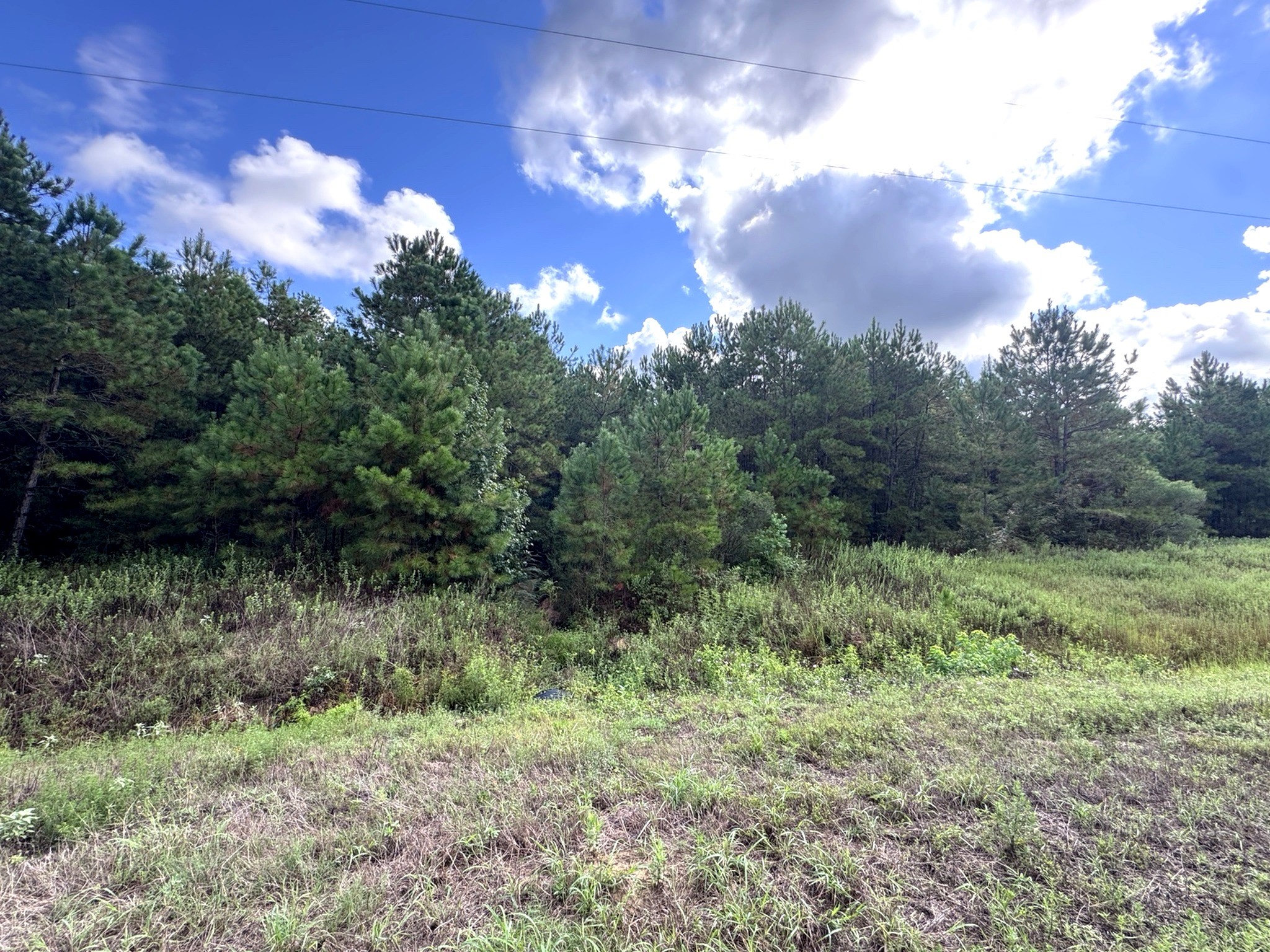 4546 N Duck Creek Road Property Photo 5