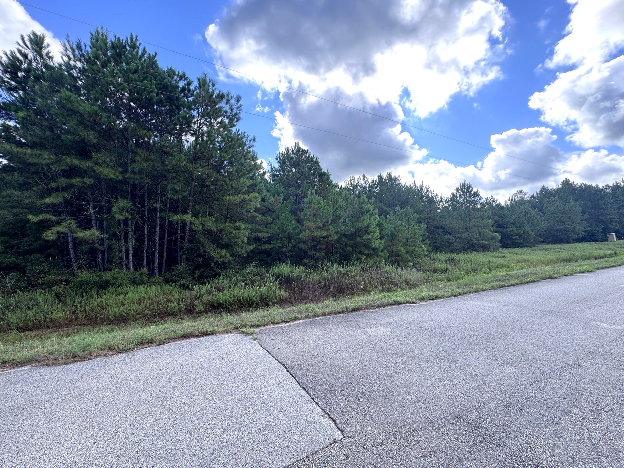 4546 N Duck Creek Road Property Photo 6