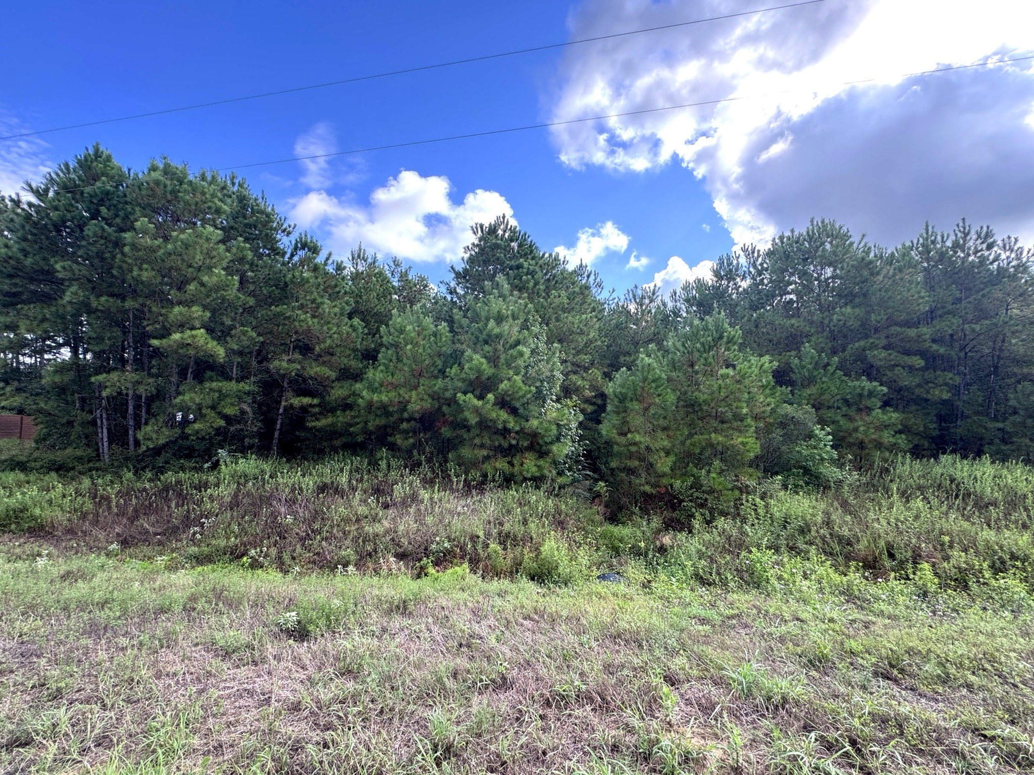 4546 N Duck Creek Road Property Photo 7