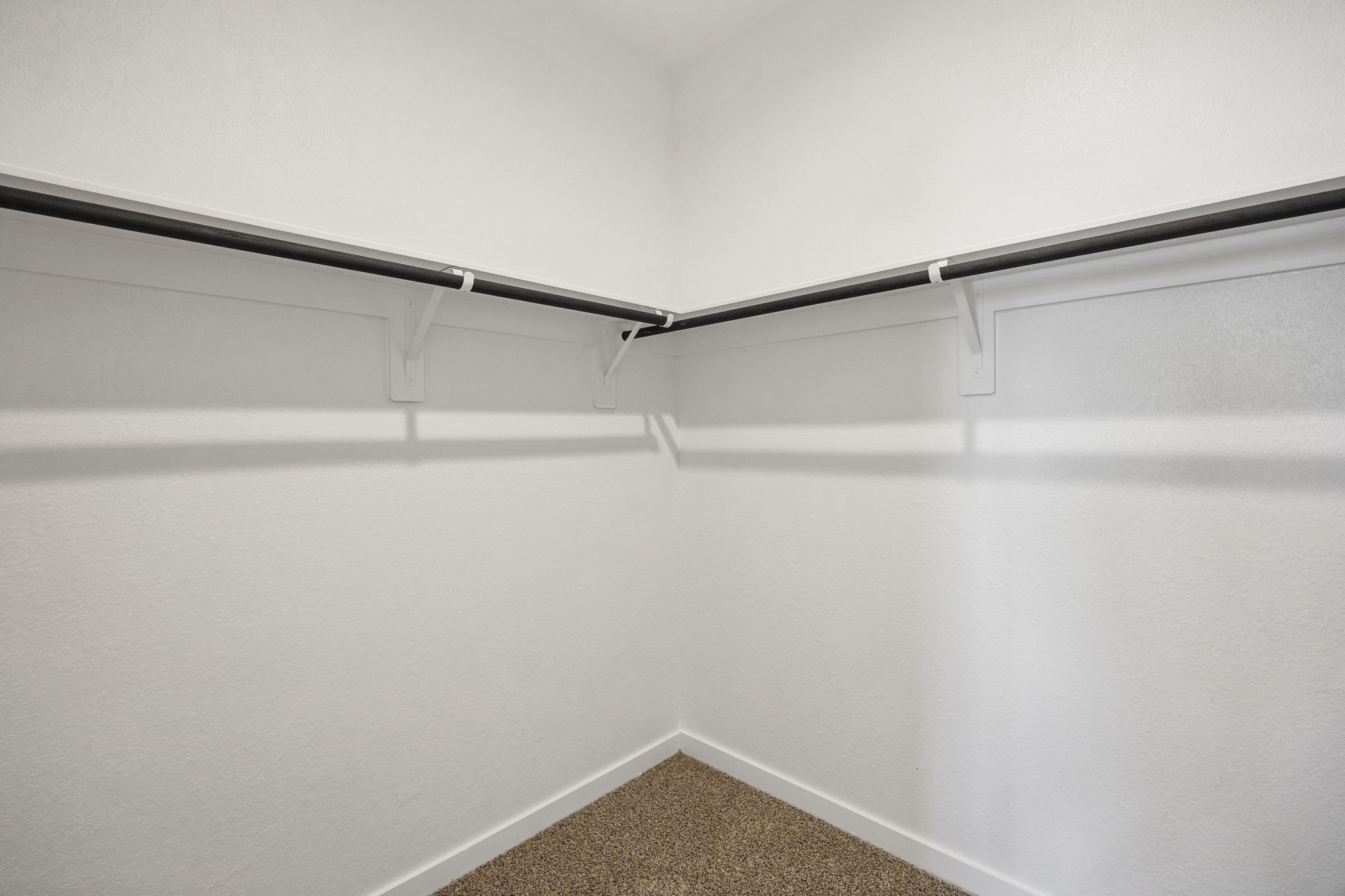 30030 Foxtail Pine Court Property Photo 9