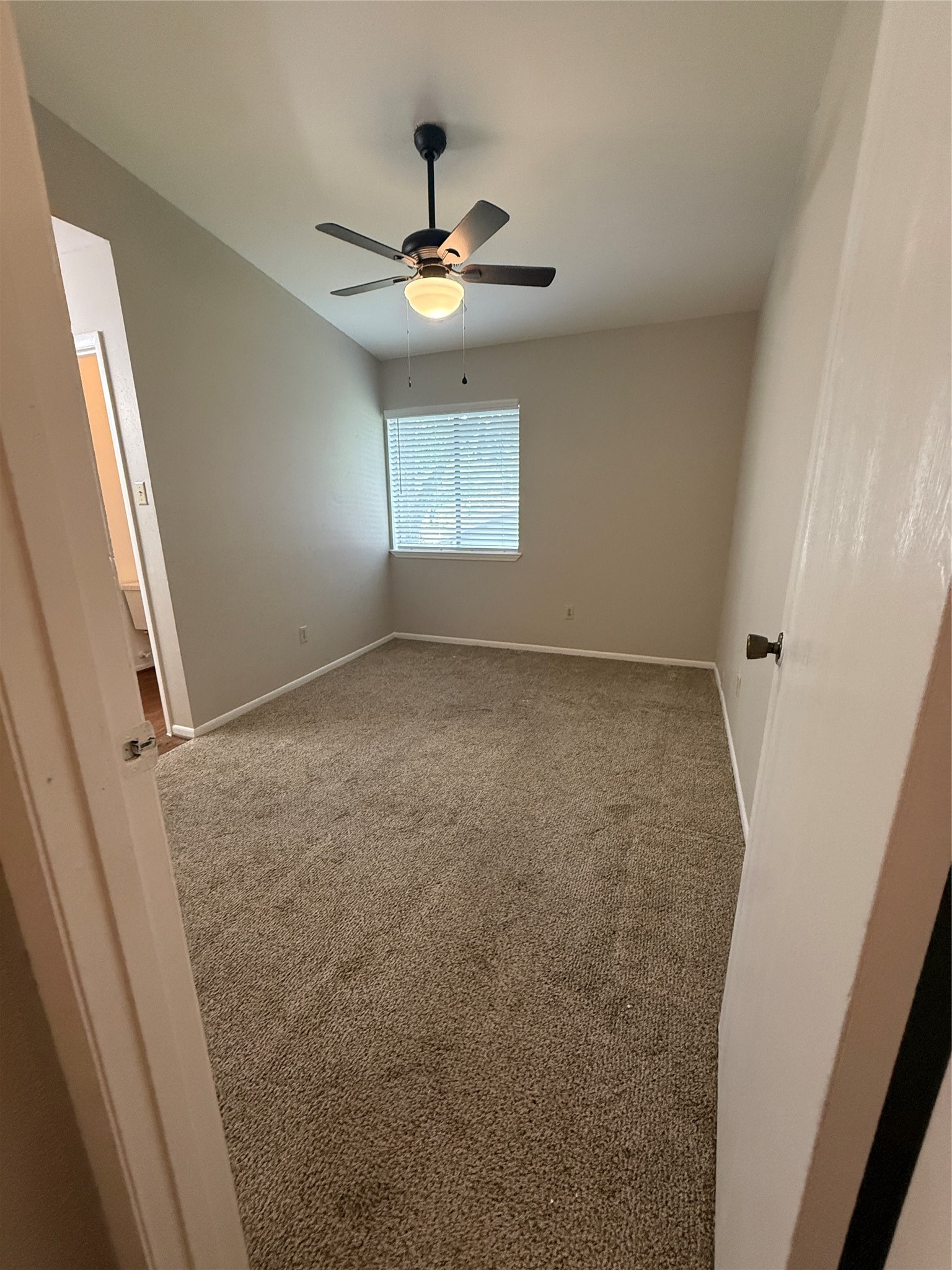 923 Carrell Street D Property Photo 11