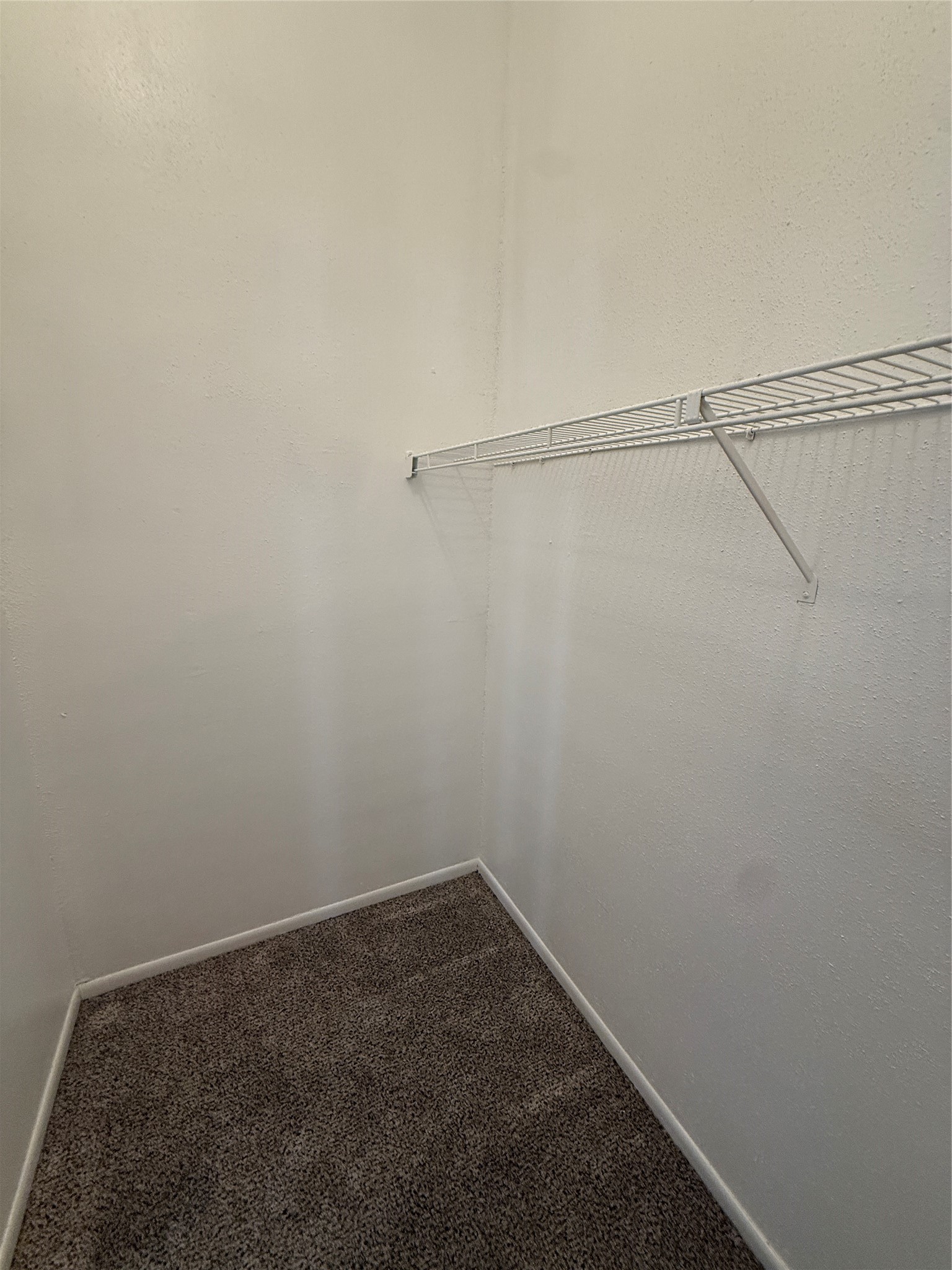 923 Carrell Street D Property Photo 13