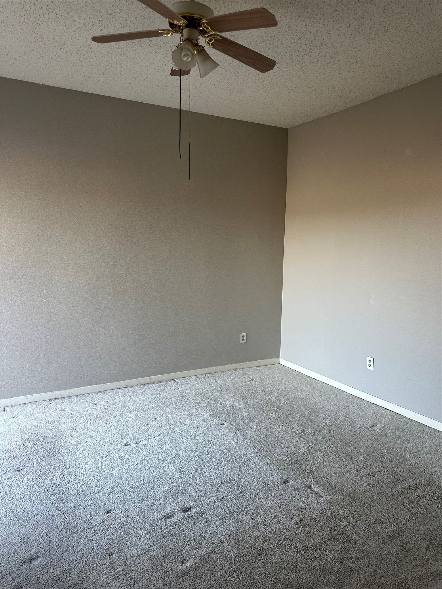 10104 Waterstone Drive Property Photo 8