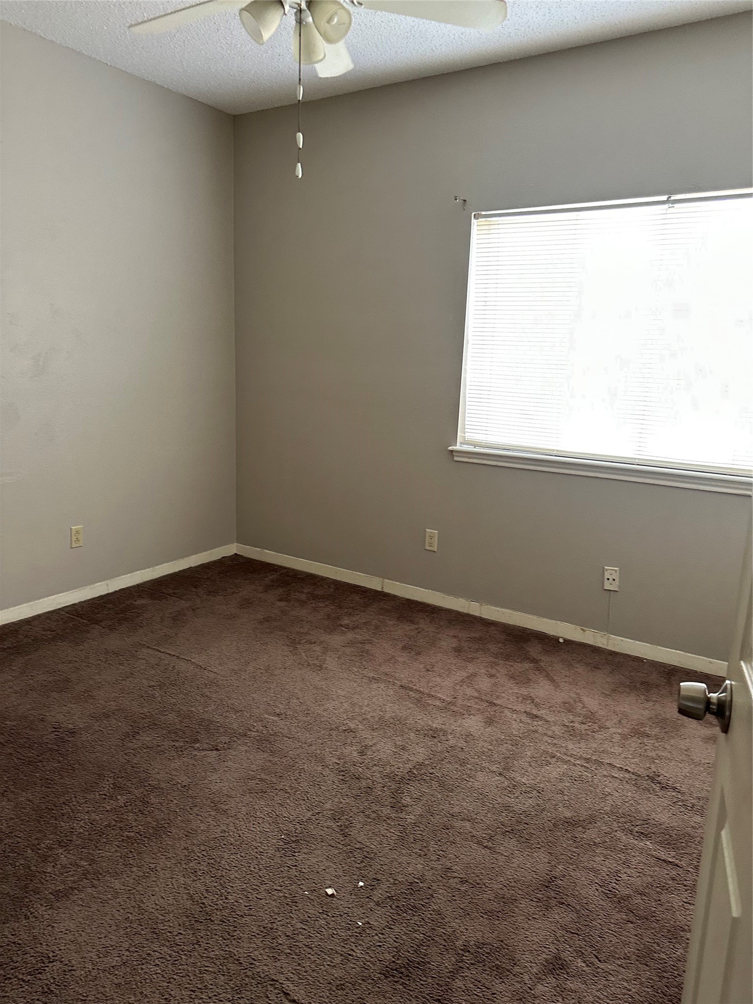 10104 Waterstone Drive Property Photo 11