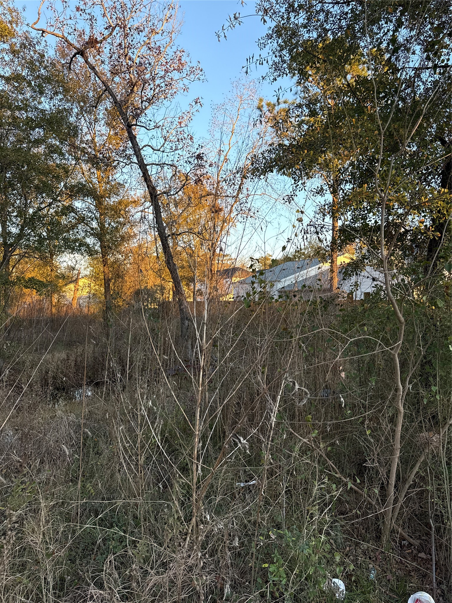 0 Arvin Street Property Photo 6