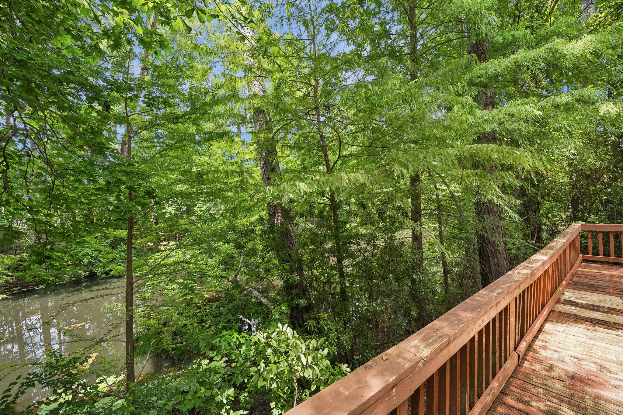 422 Nursery Road Property Photo 16