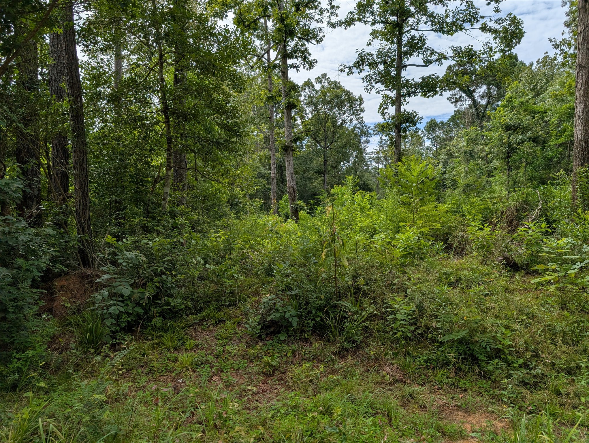 161 Ludies Drive Property Photo
