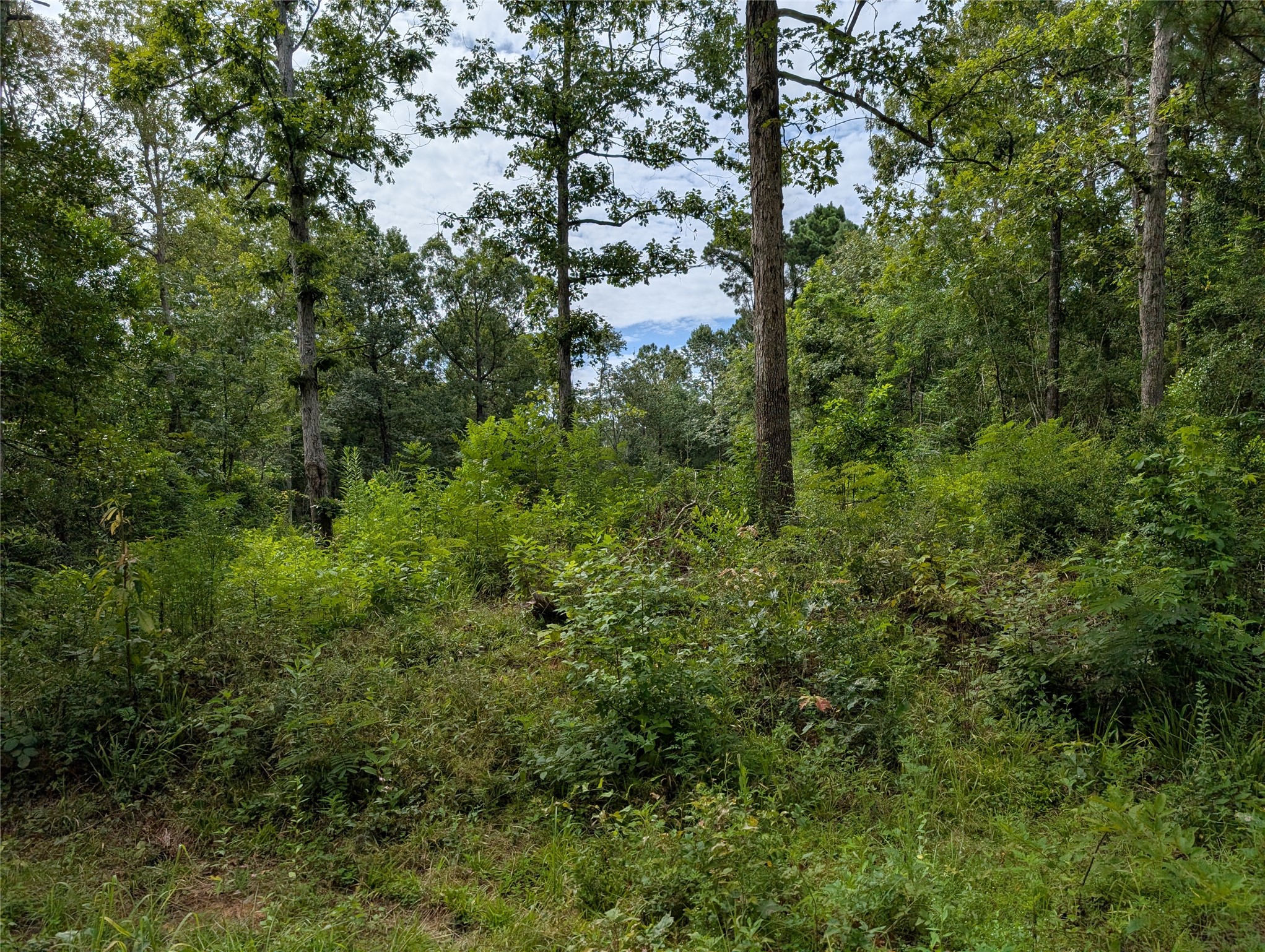 161 Ludies Drive Property Photo 2