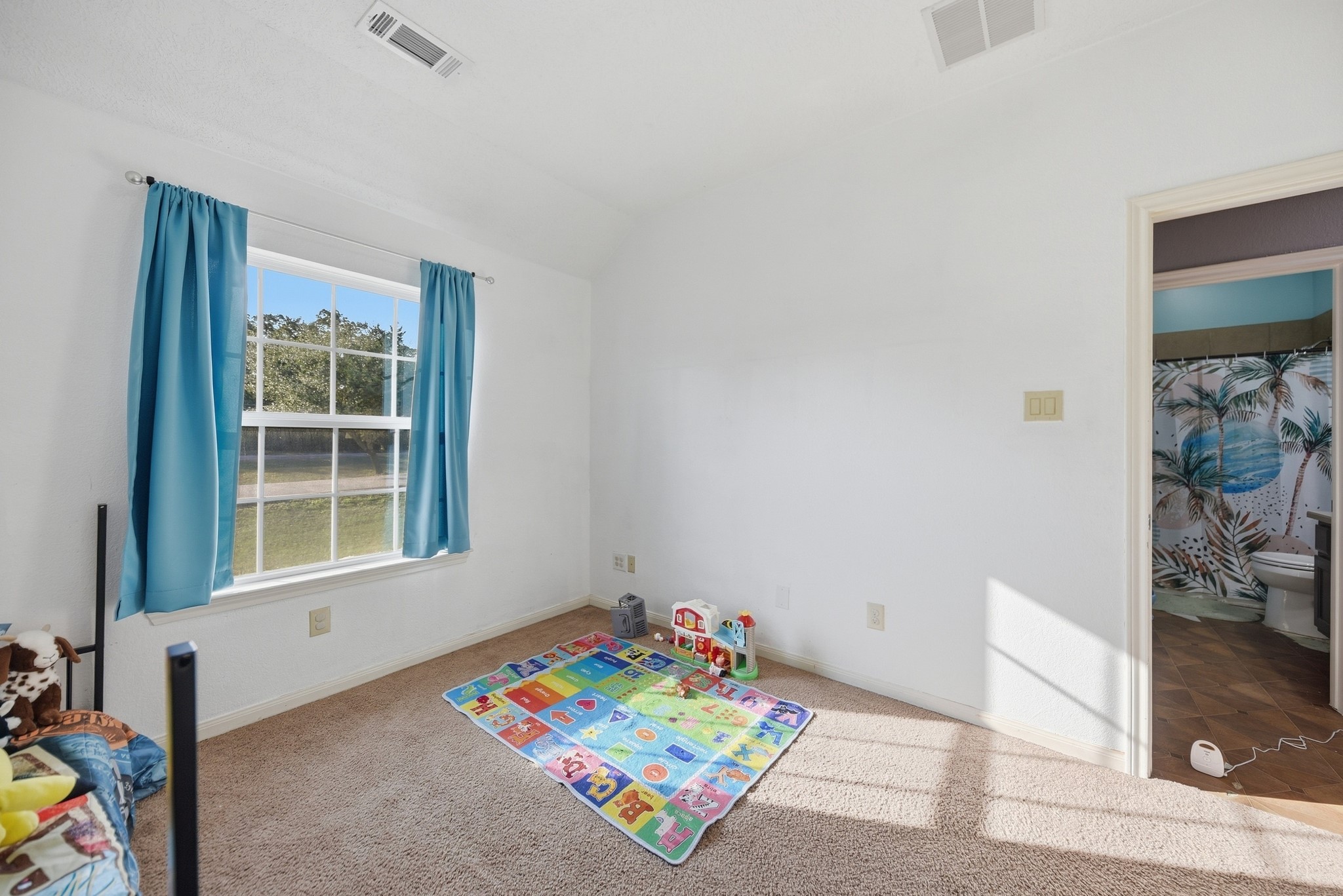 1241 County Road 230 Property Photo 18