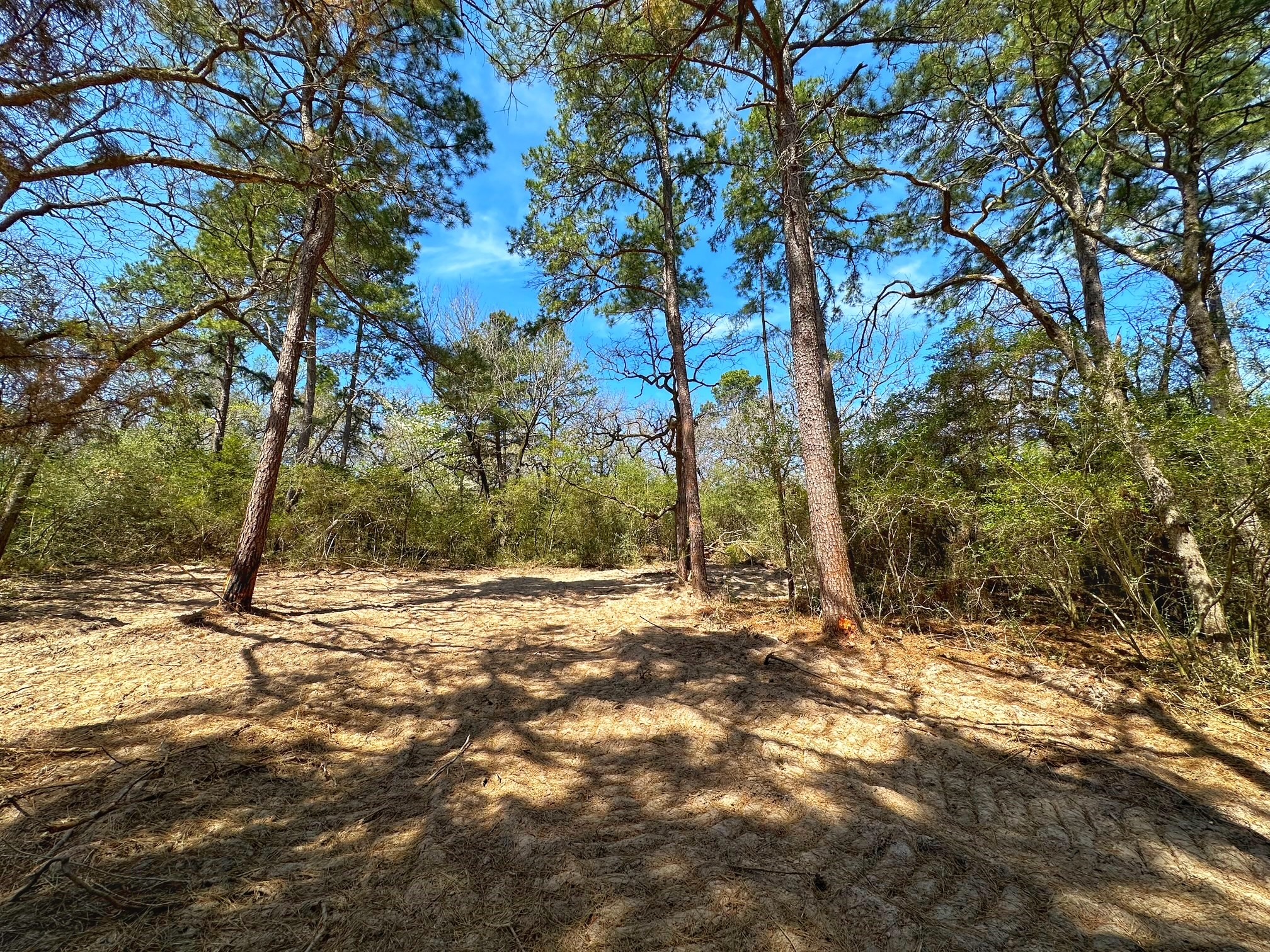 12 Ac Cr 292 Property Photo