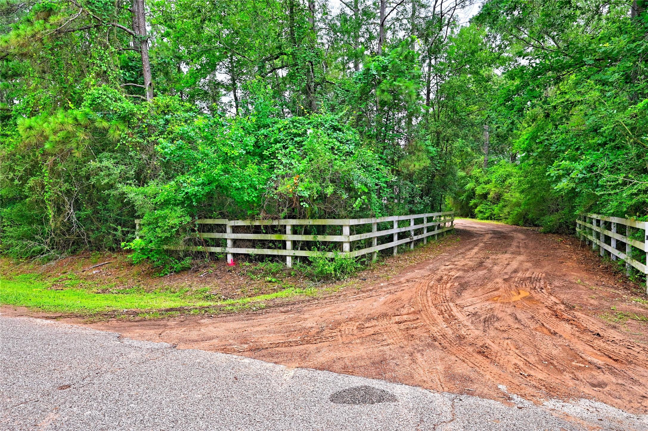 6410 Ranch Park Drive Property Photo 2