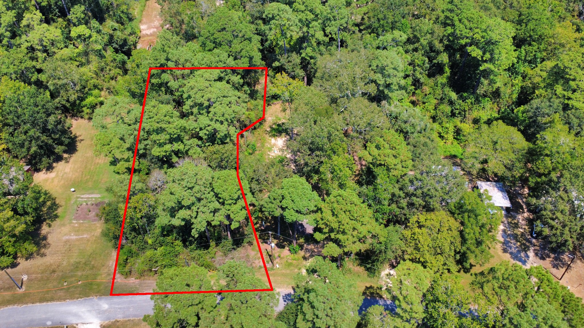 141 County Road 431 Property Photo 3