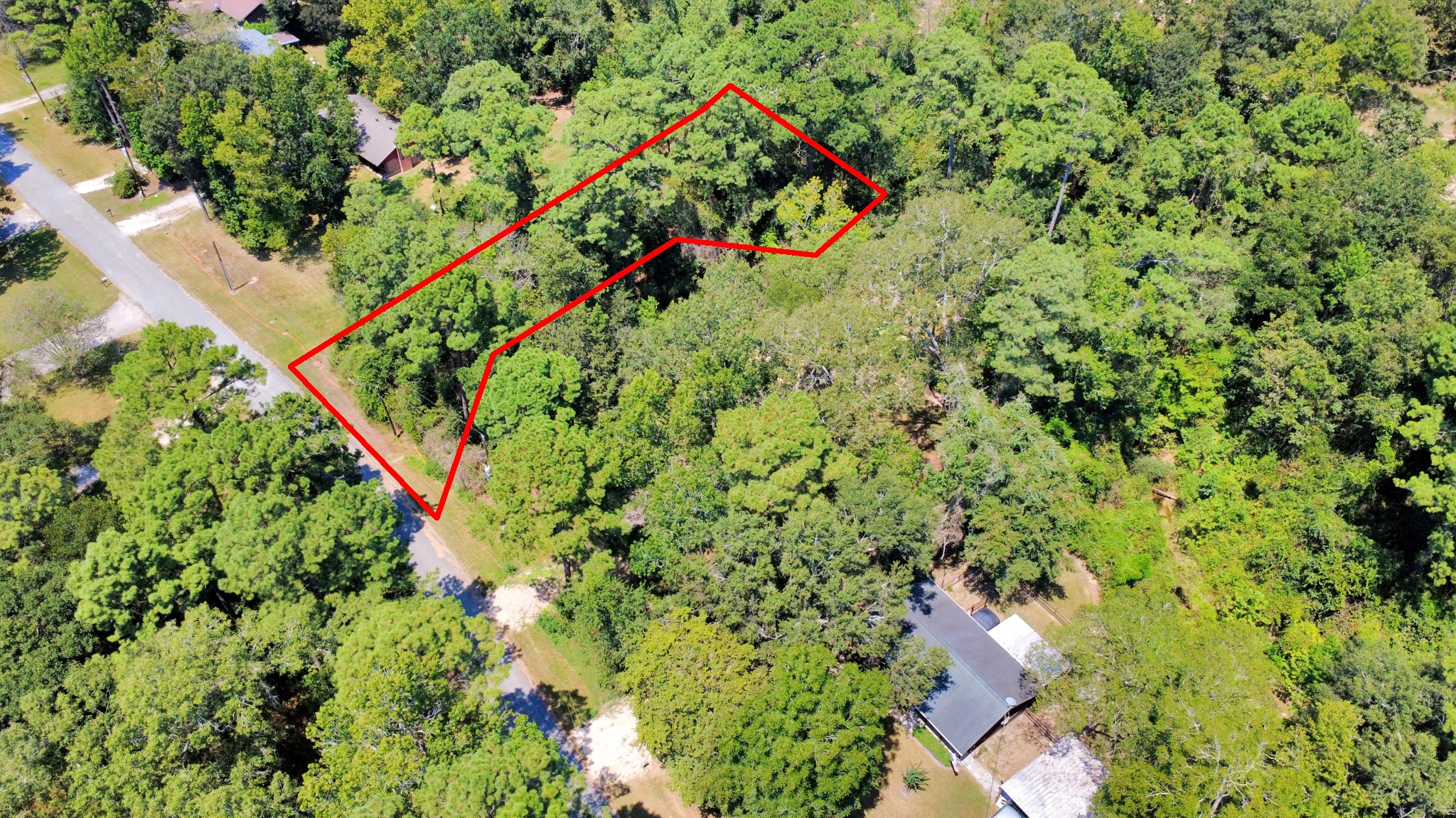 141 County Road 431 Property Photo 6