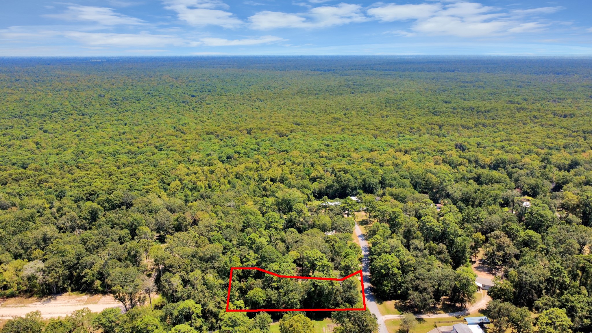 141 County Road 431 Property Photo 21
