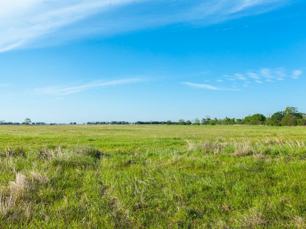 2301 Fm 360 Property Photo 3