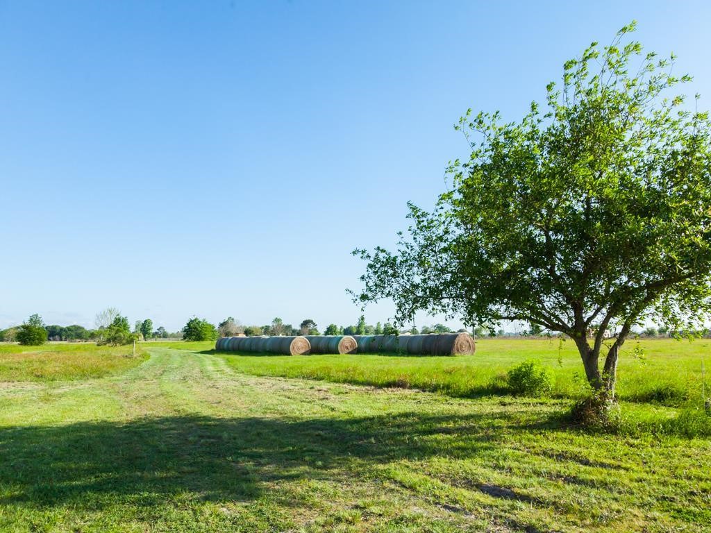 2301 Fm 360 Property Photo 6