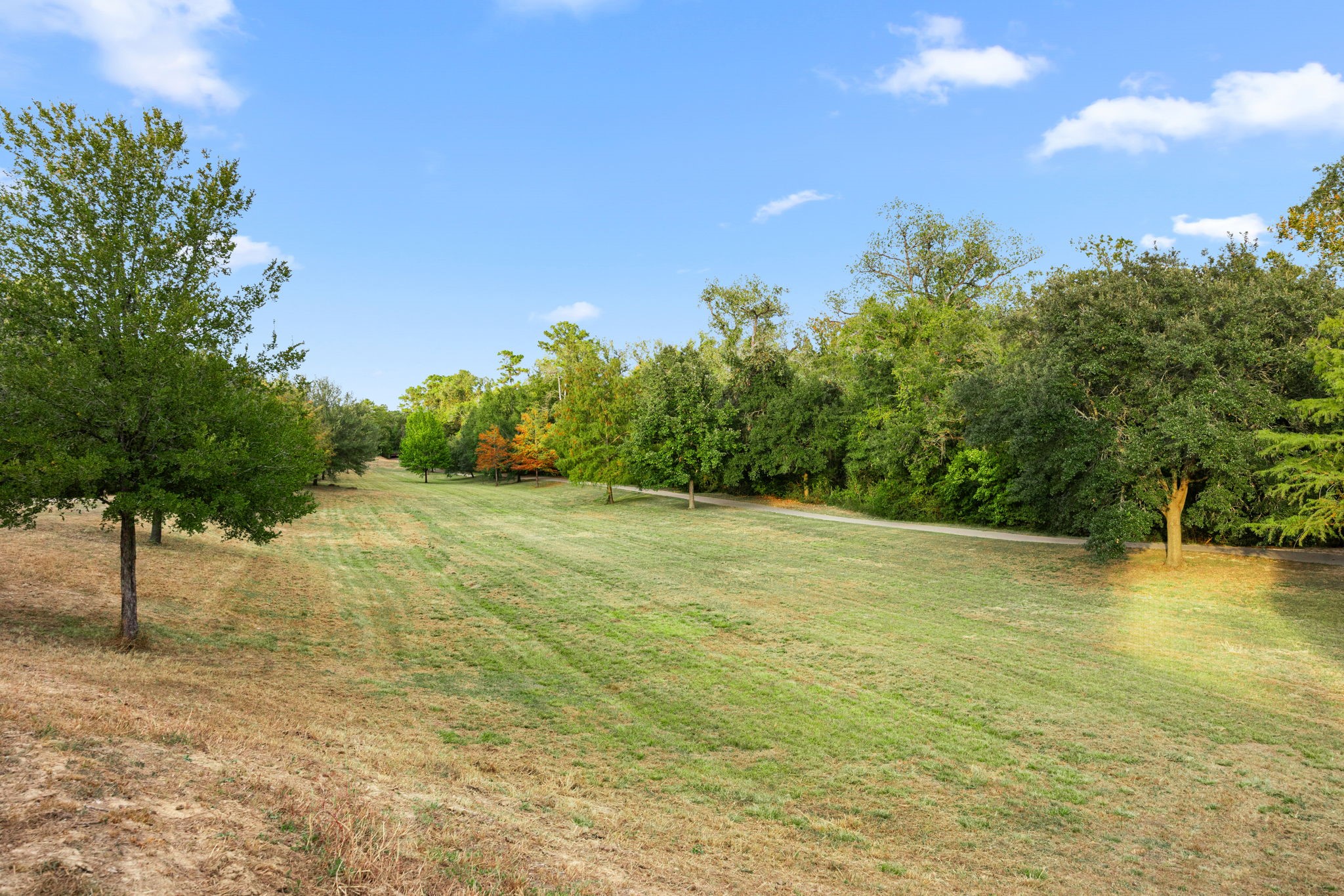 14008 Memorial Reserve Place Property Photo 40