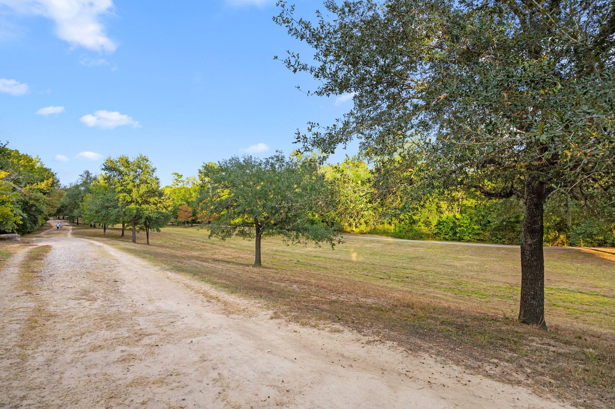 14008 Memorial Reserve Place Property Photo 42