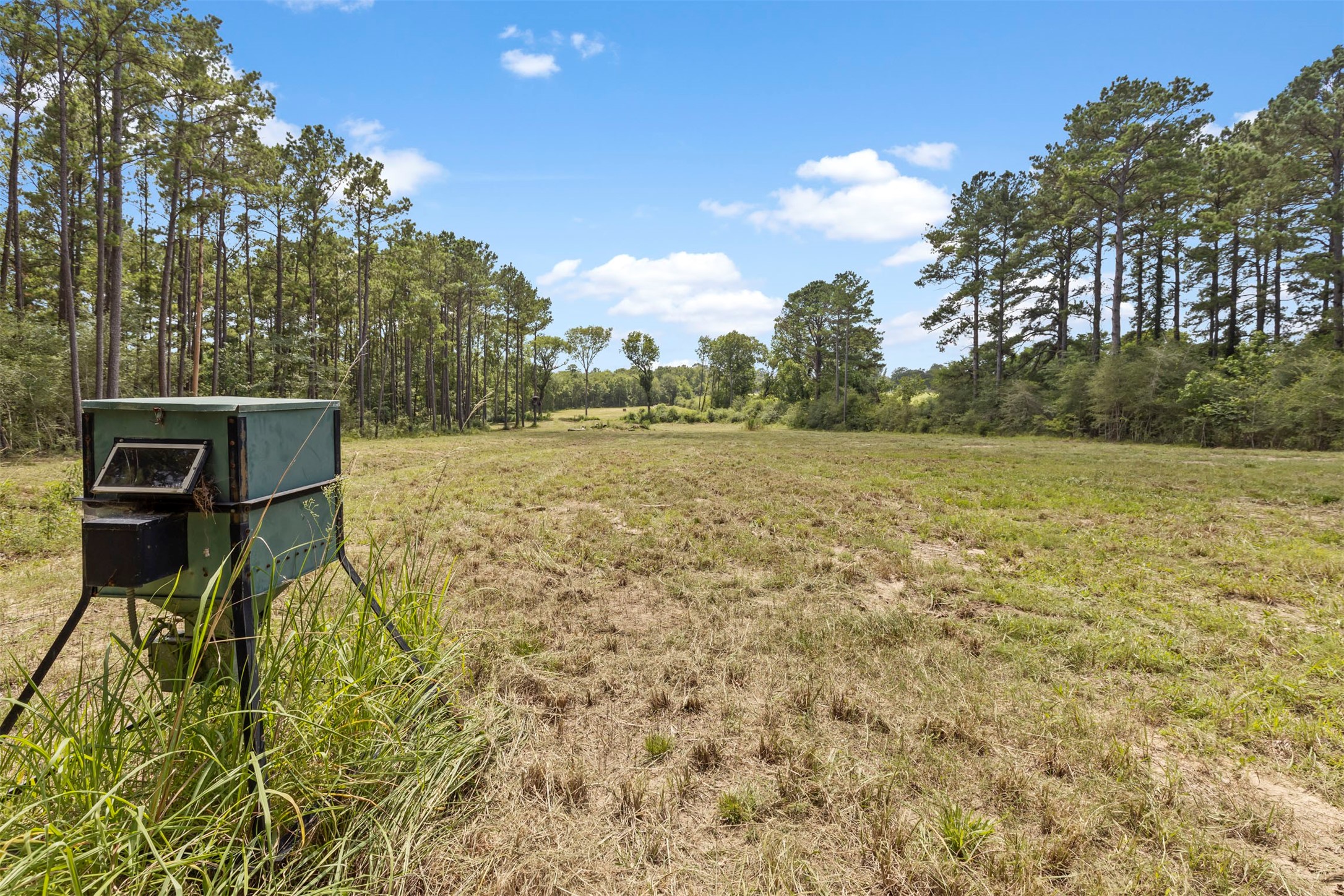 18022 Rogers Road Property Photo 44