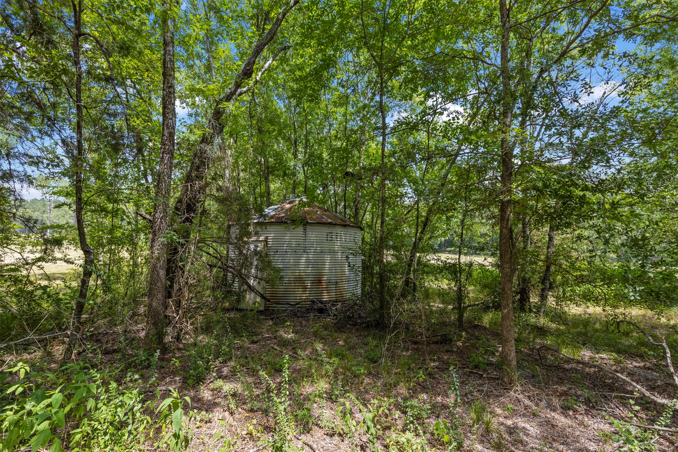 18022 Rogers Road Property Photo 46