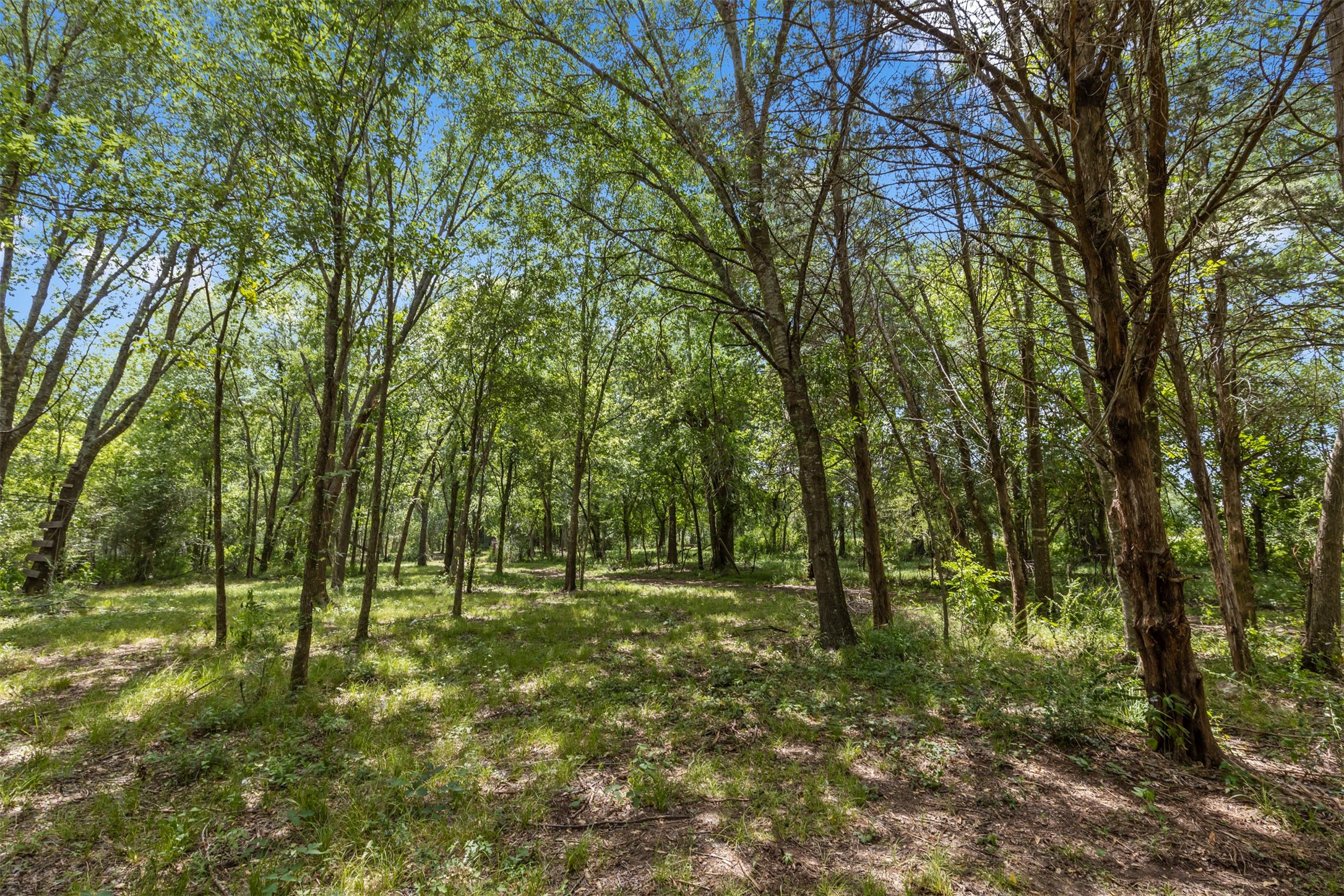18022 Rogers Road Property Photo 47