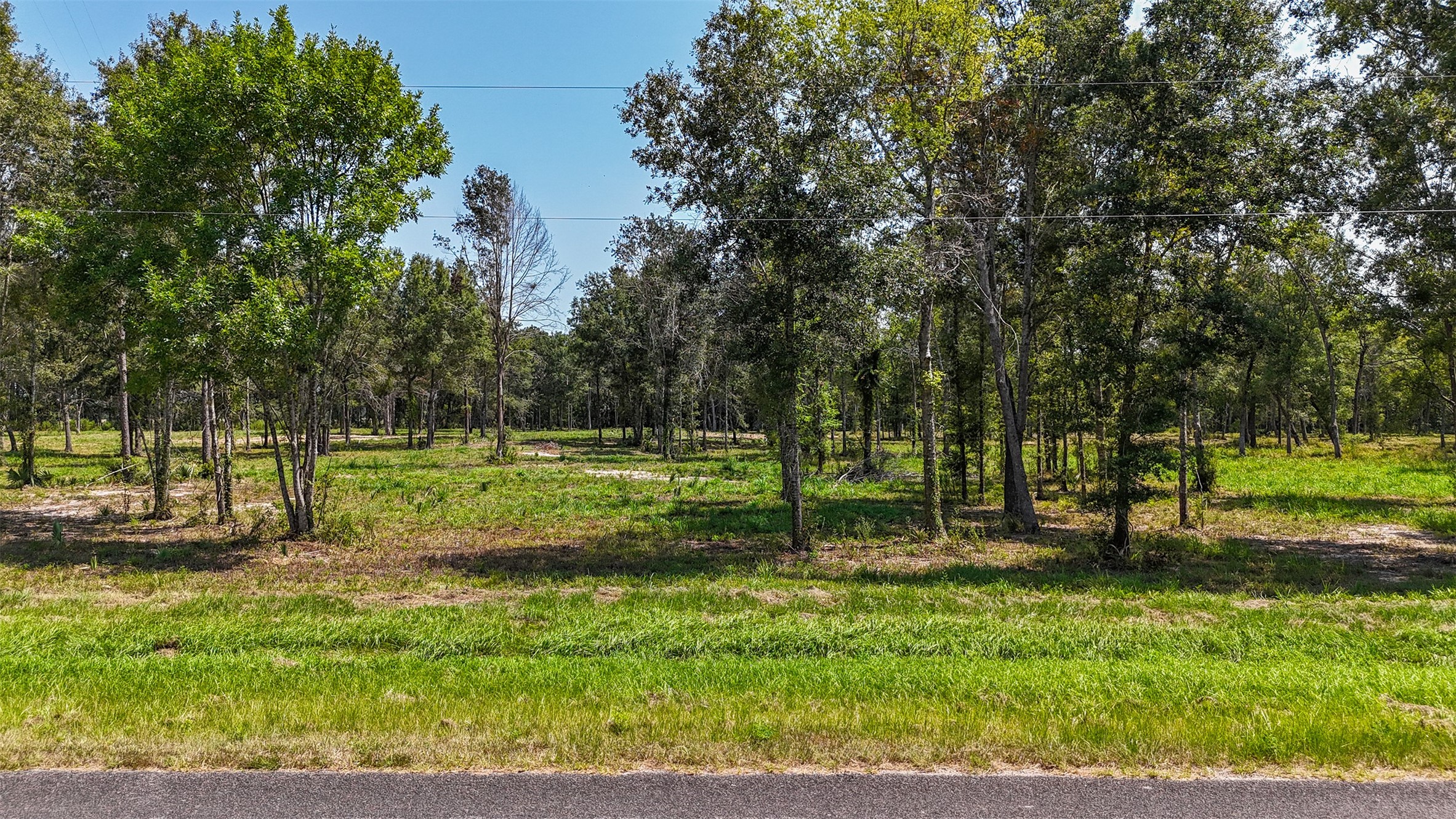 1977 County Road 105 Property Photo 3