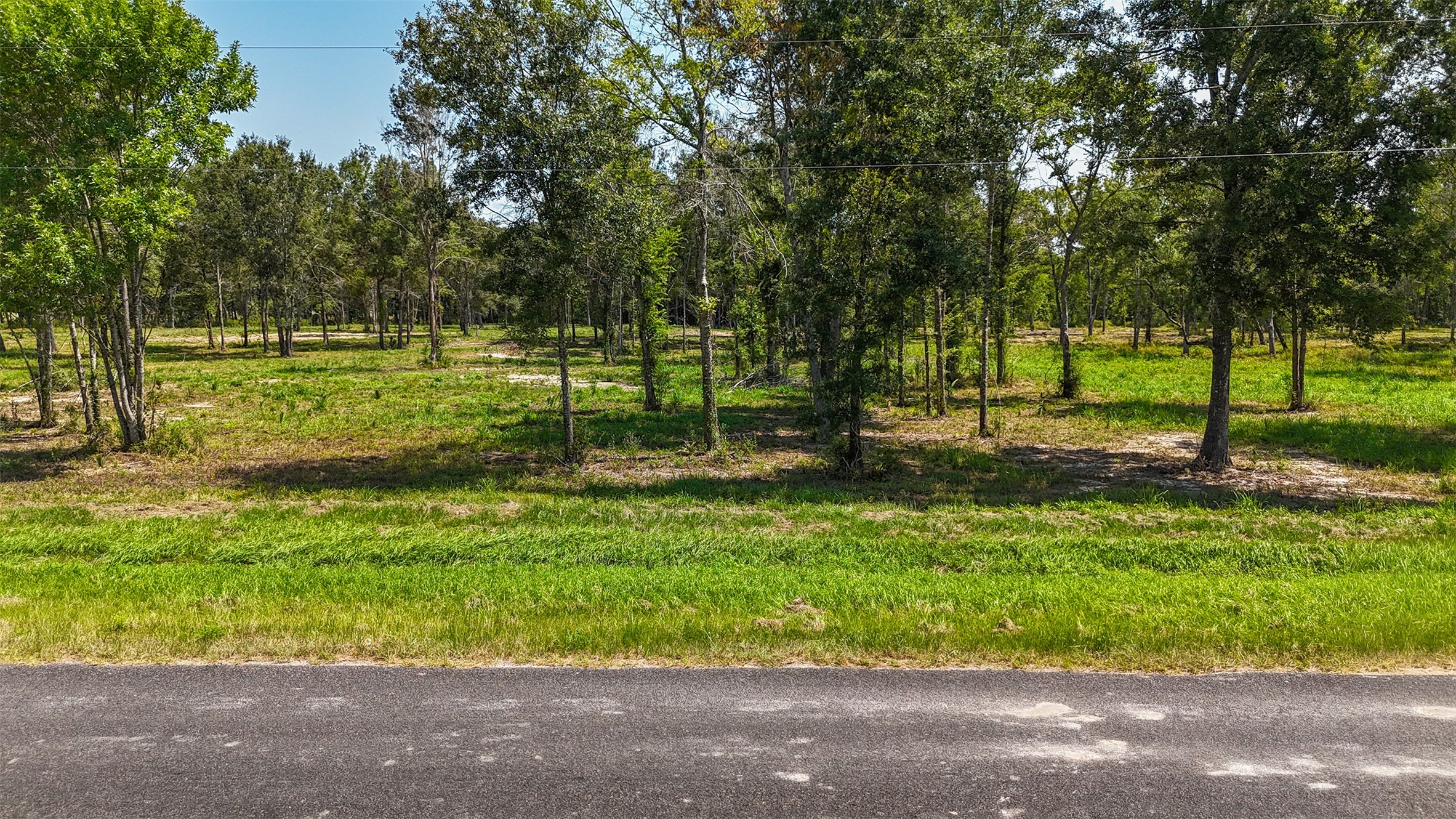 1977 County Road 105 Property Photo 18