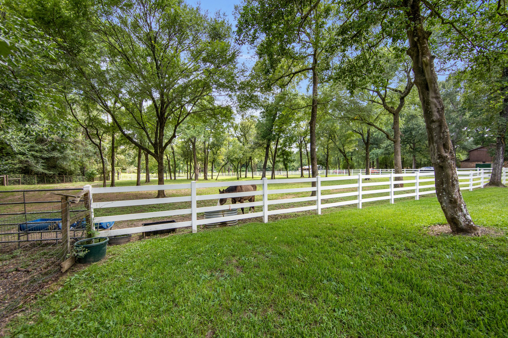 802 Sentinel Oaks Property Photo 15