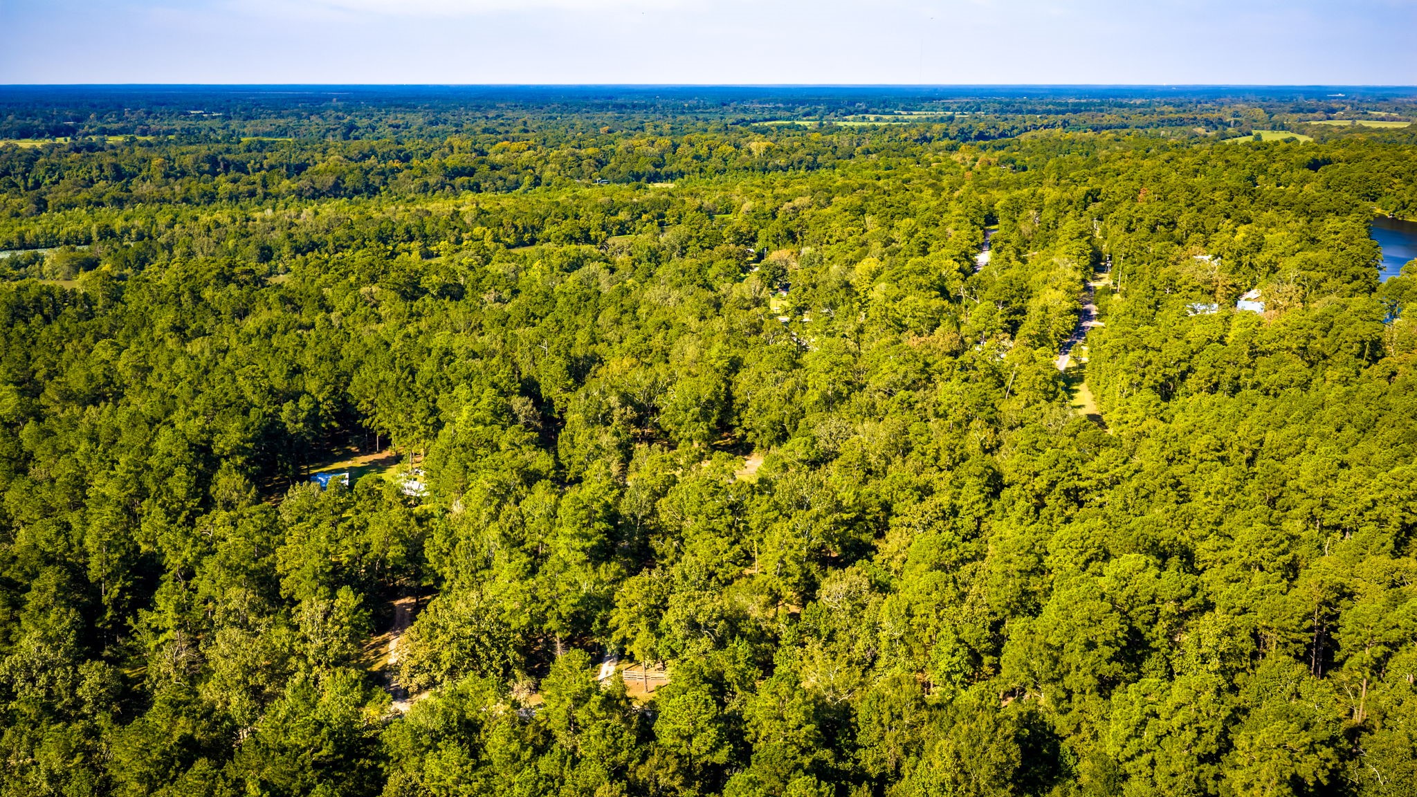 834 County Road Property Photo 31