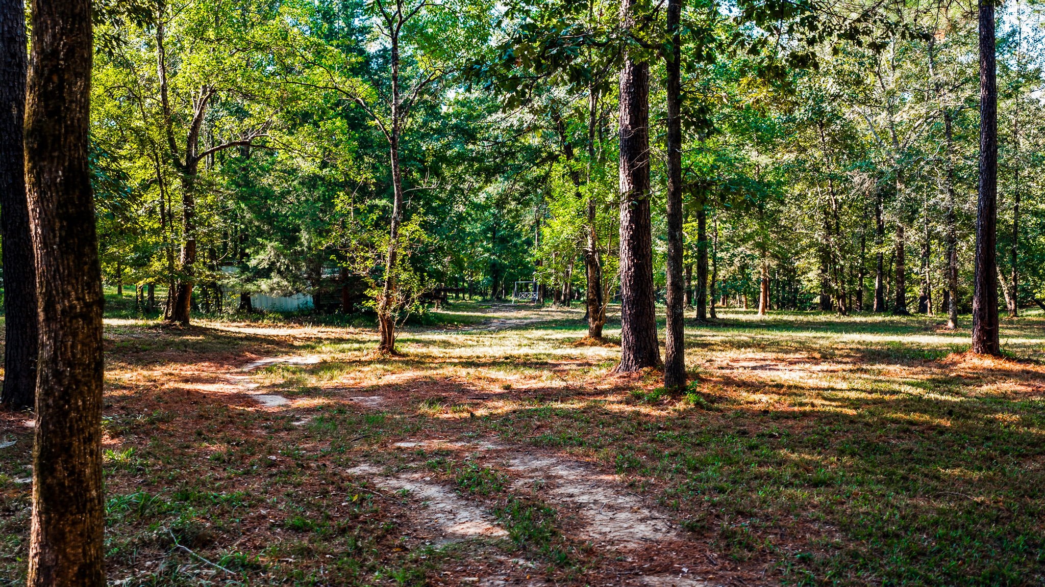 834 County Road Property Photo 46