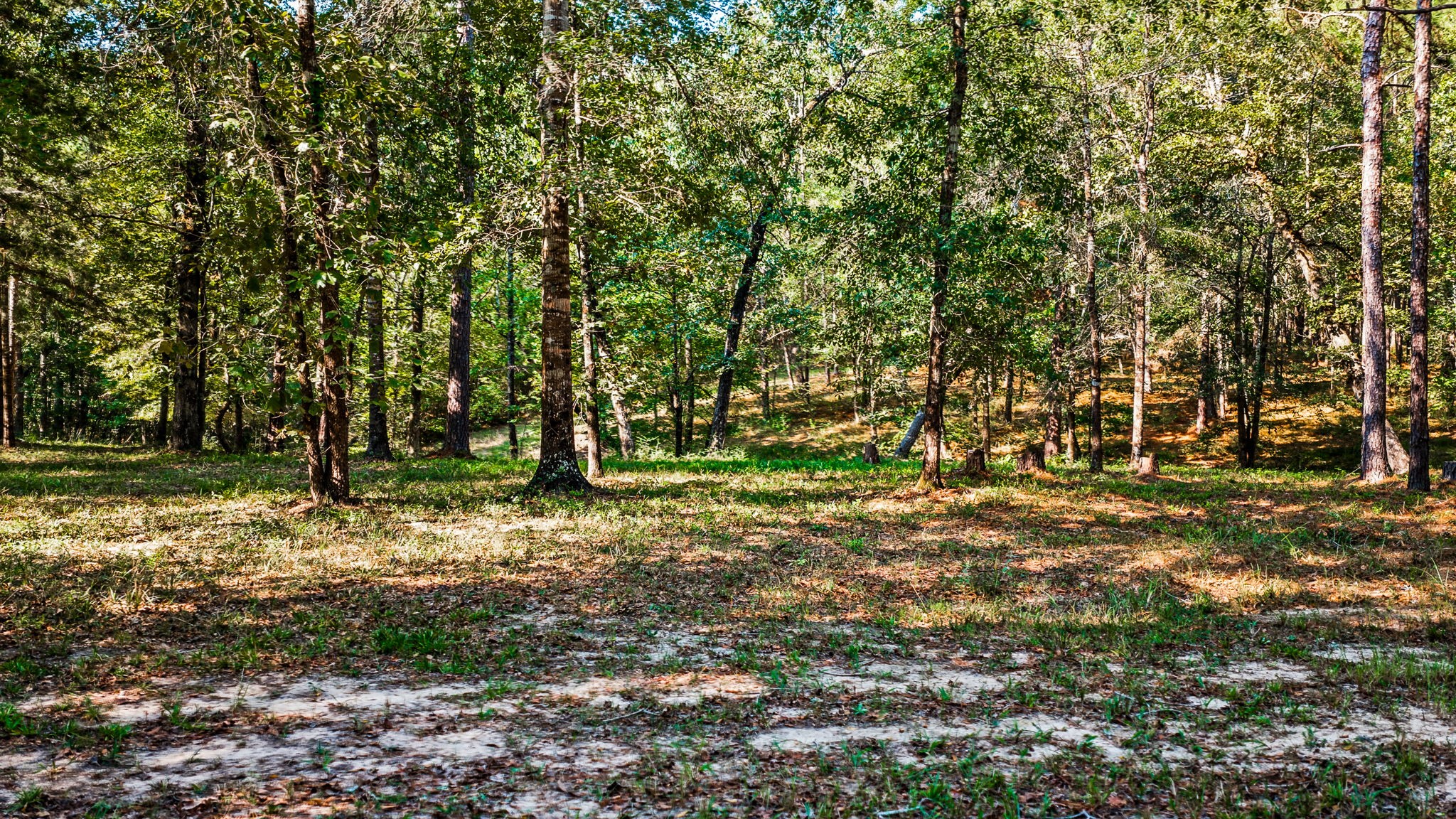 834 County Road Property Photo 49