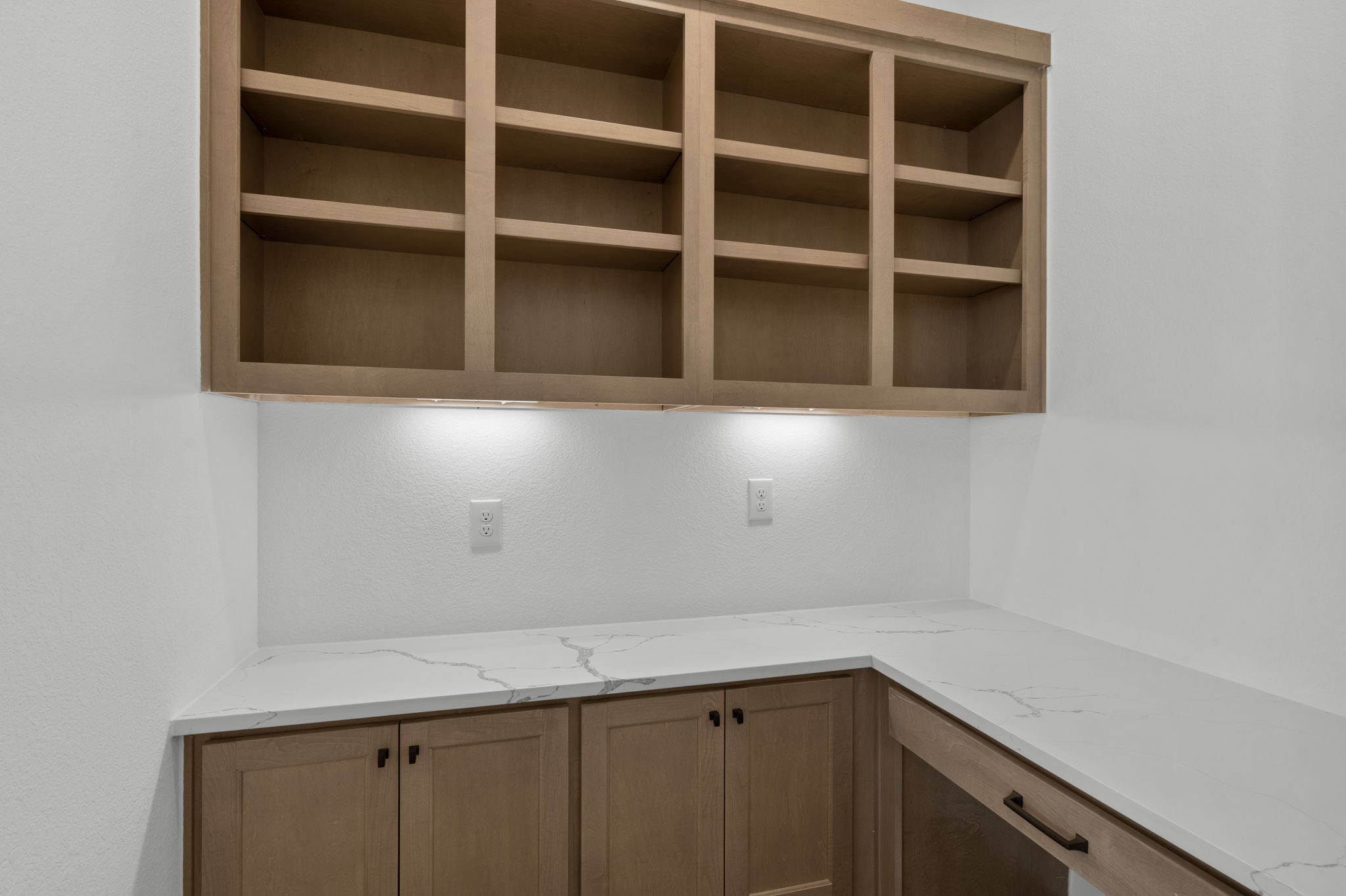 32429 Forktail Lake Drive Property Photo 4