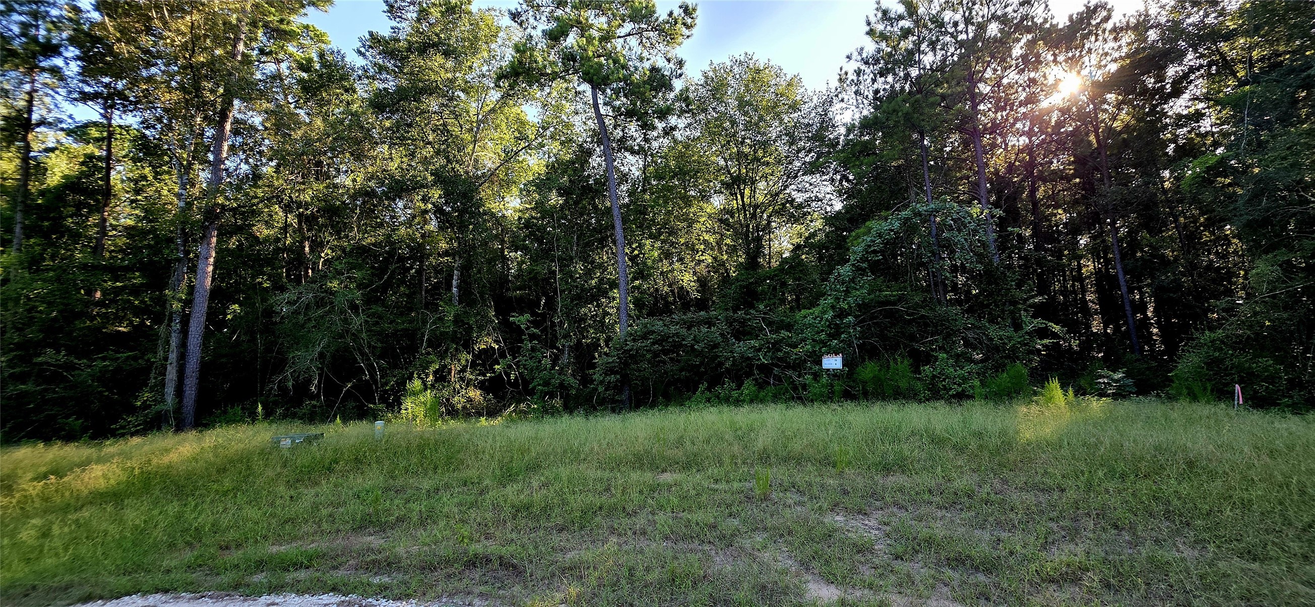 107 Romantic Dreams Ct Court Property Photo 1