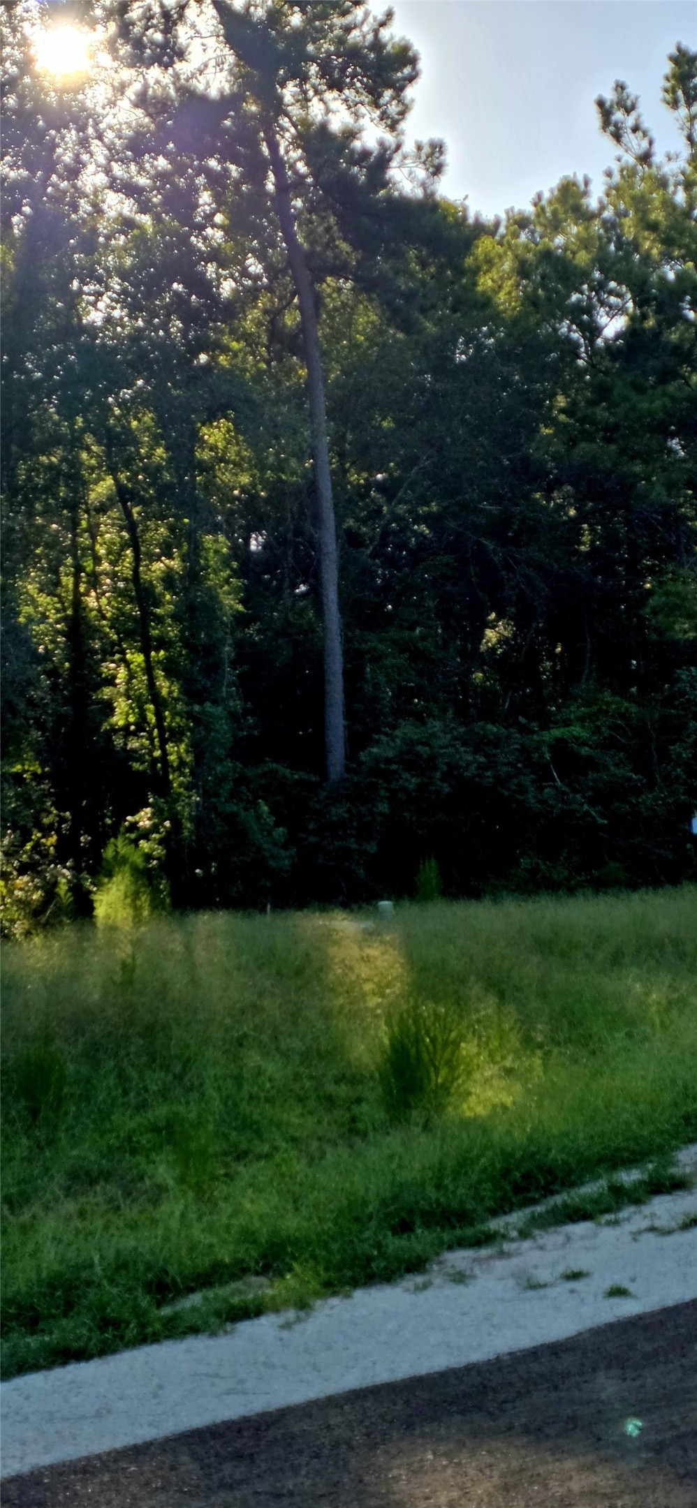 107 Romantic Dreams Ct Court Property Photo 2