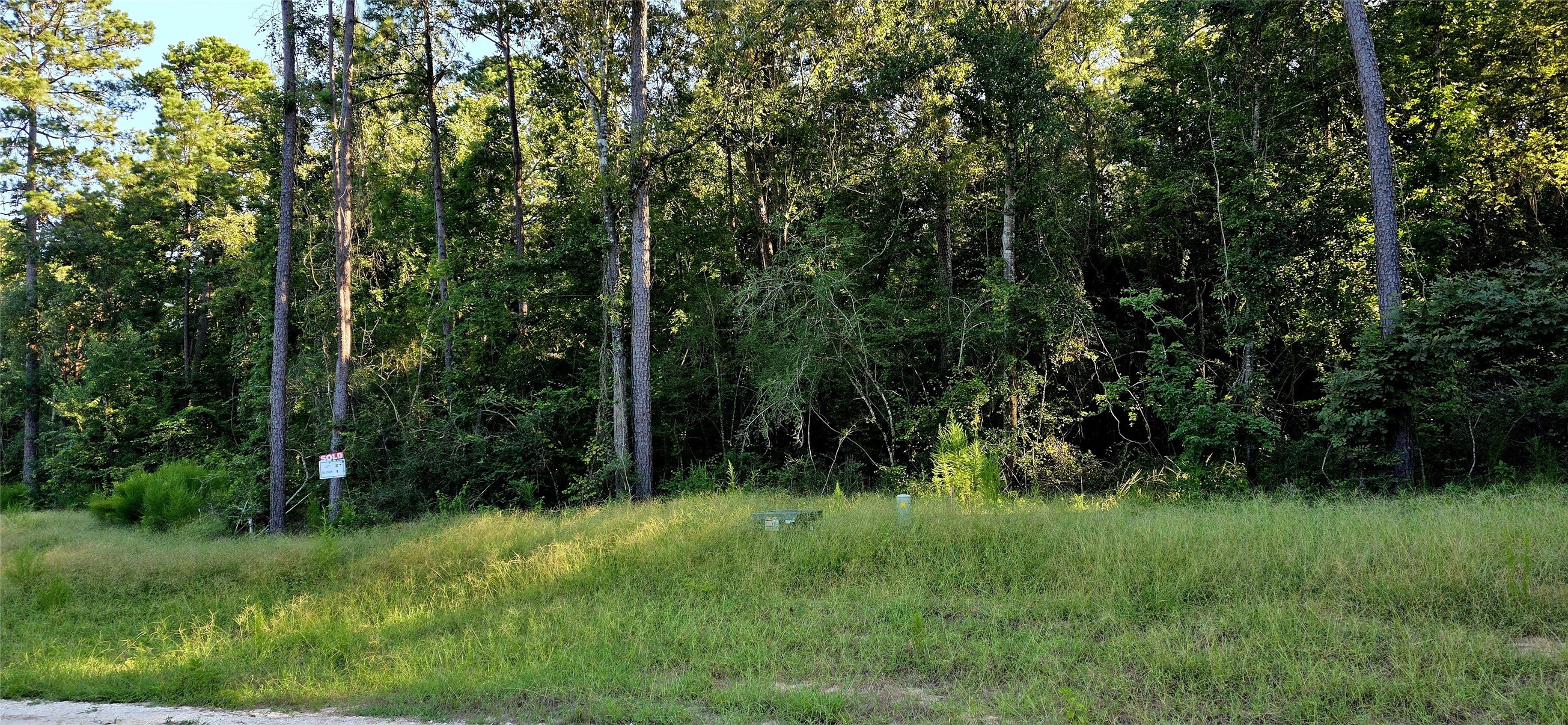 107 Romantic Dreams Ct Court Property Photo 8